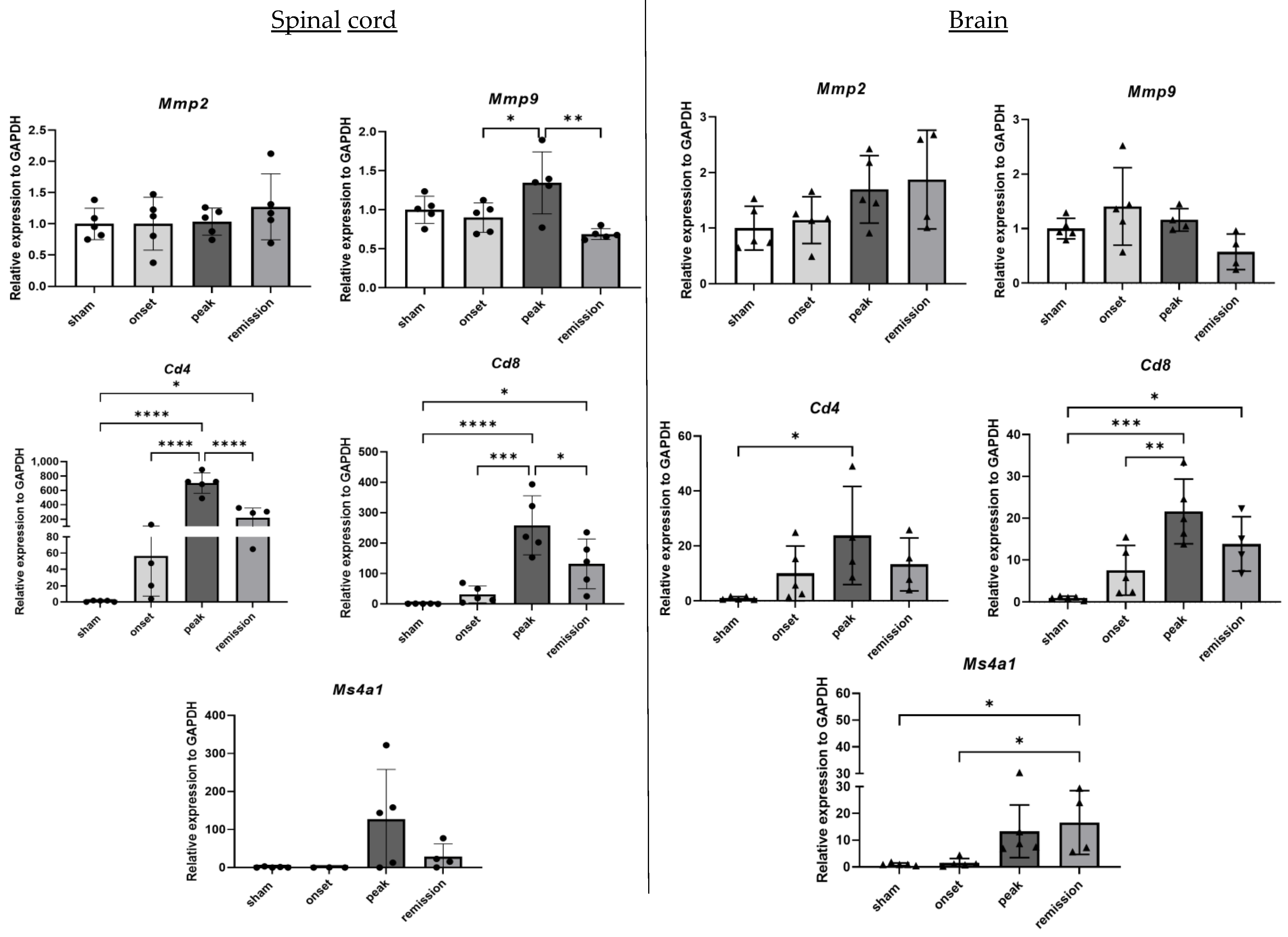 Ijms 23 14000 g002 Ijms 23 14000 g002