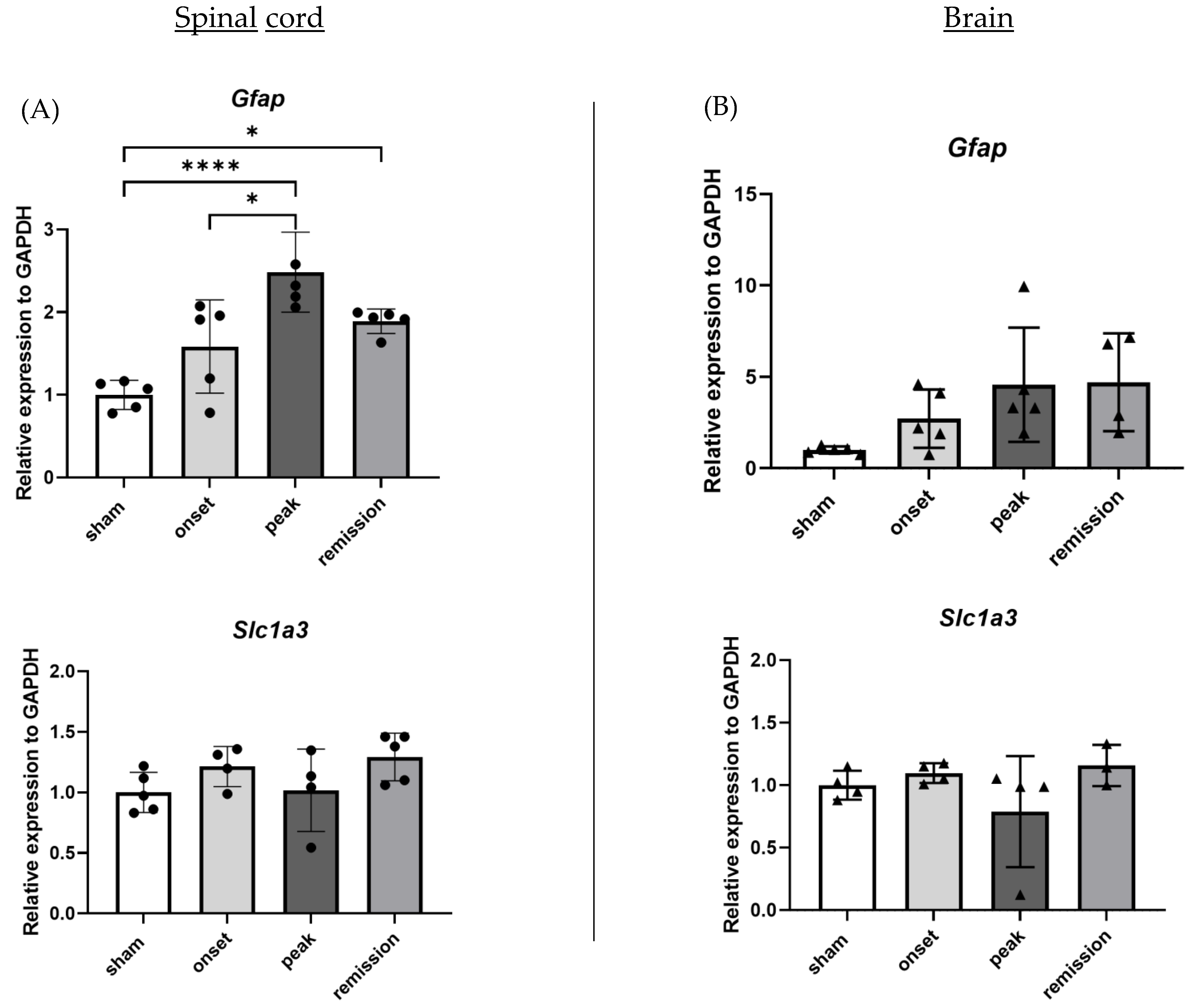 Ijms 23 14000 g003 Ijms 23 14000 g003
