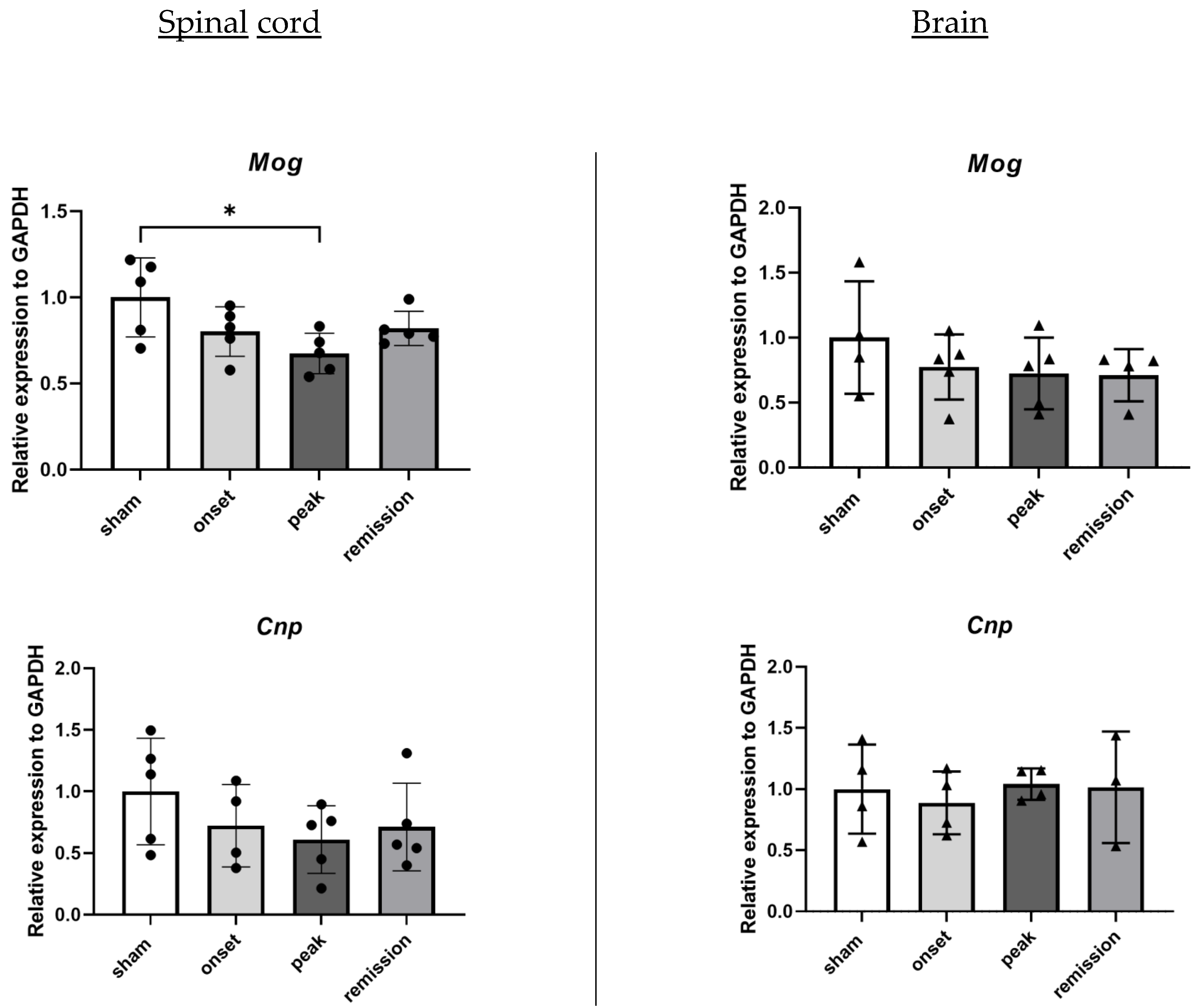 Ijms 23 14000 g004 Ijms 23 14000 g004