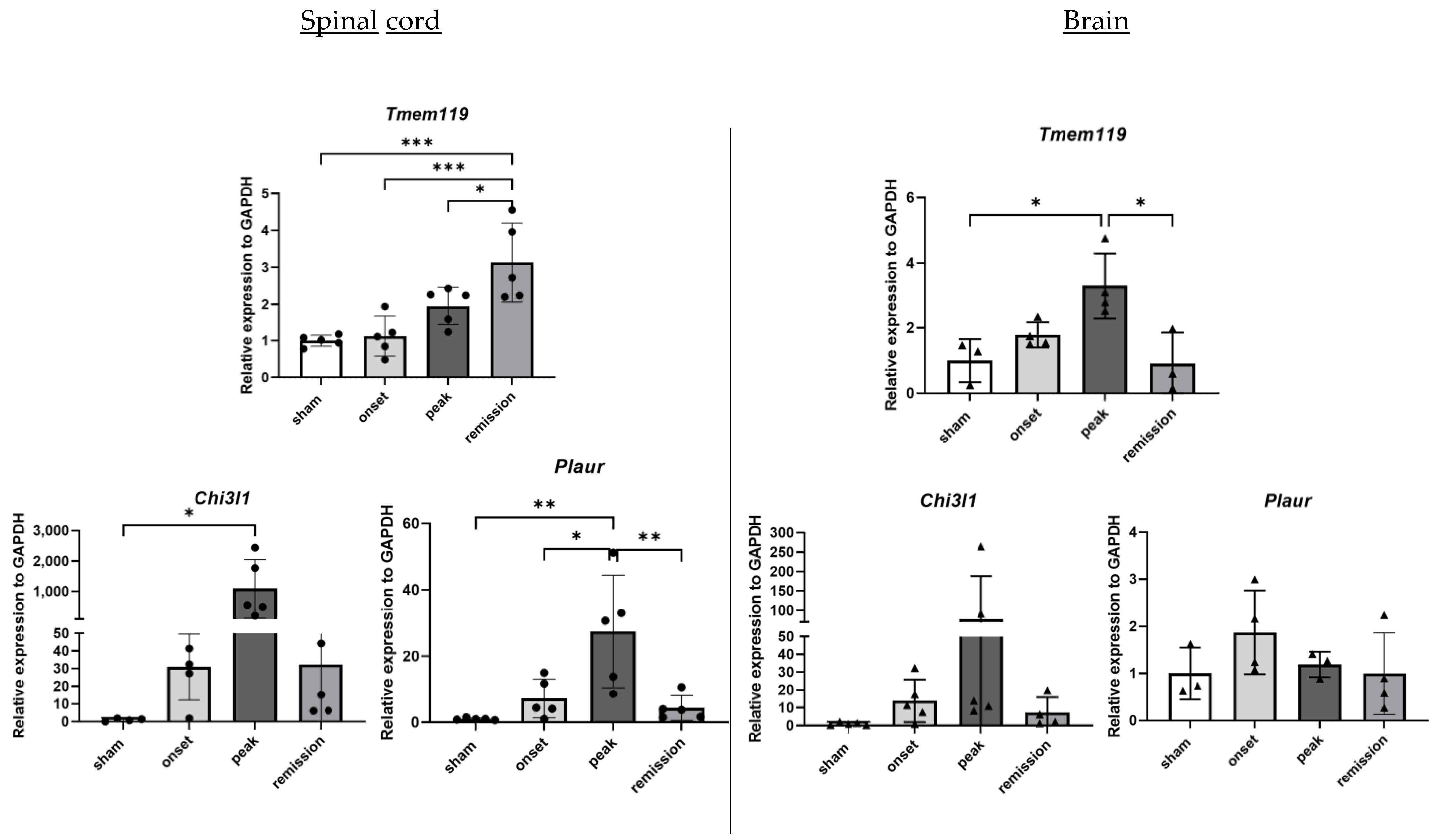 Ijms 23 14000 g006 Ijms 23 14000 g006