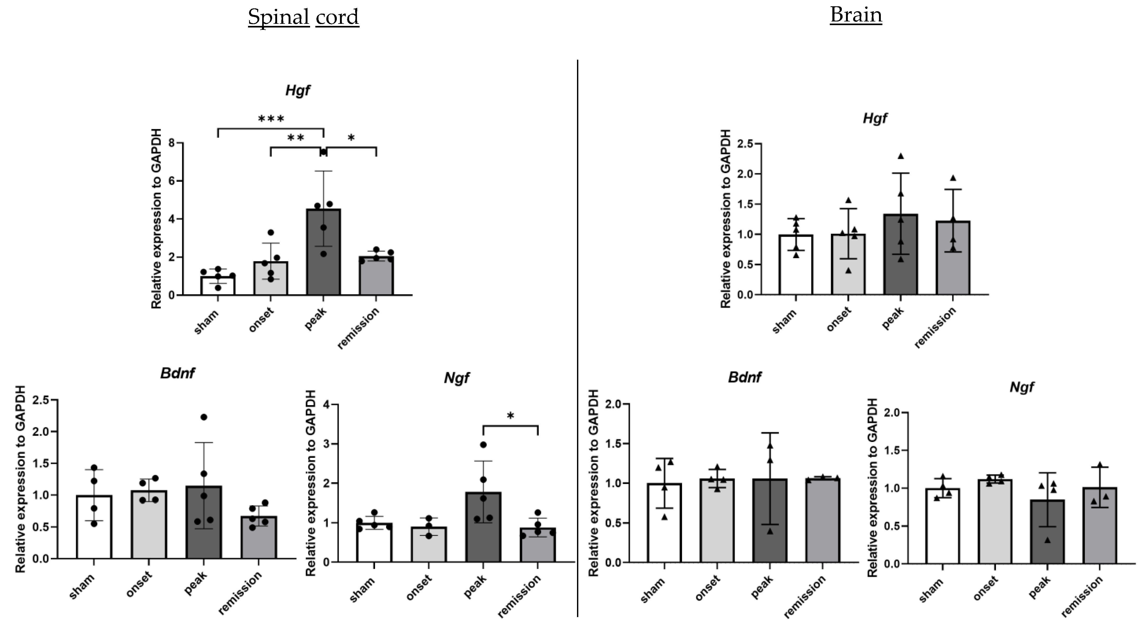 Ijms 23 14000 g007 Ijms 23 14000 g007