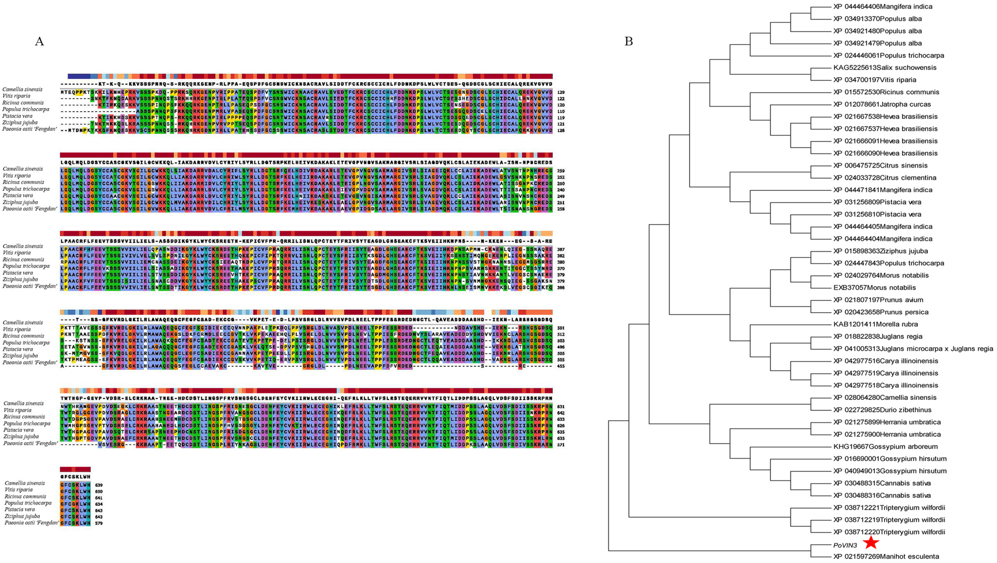 Ijms 23 14003 g002 Ijms 23 14003 g002