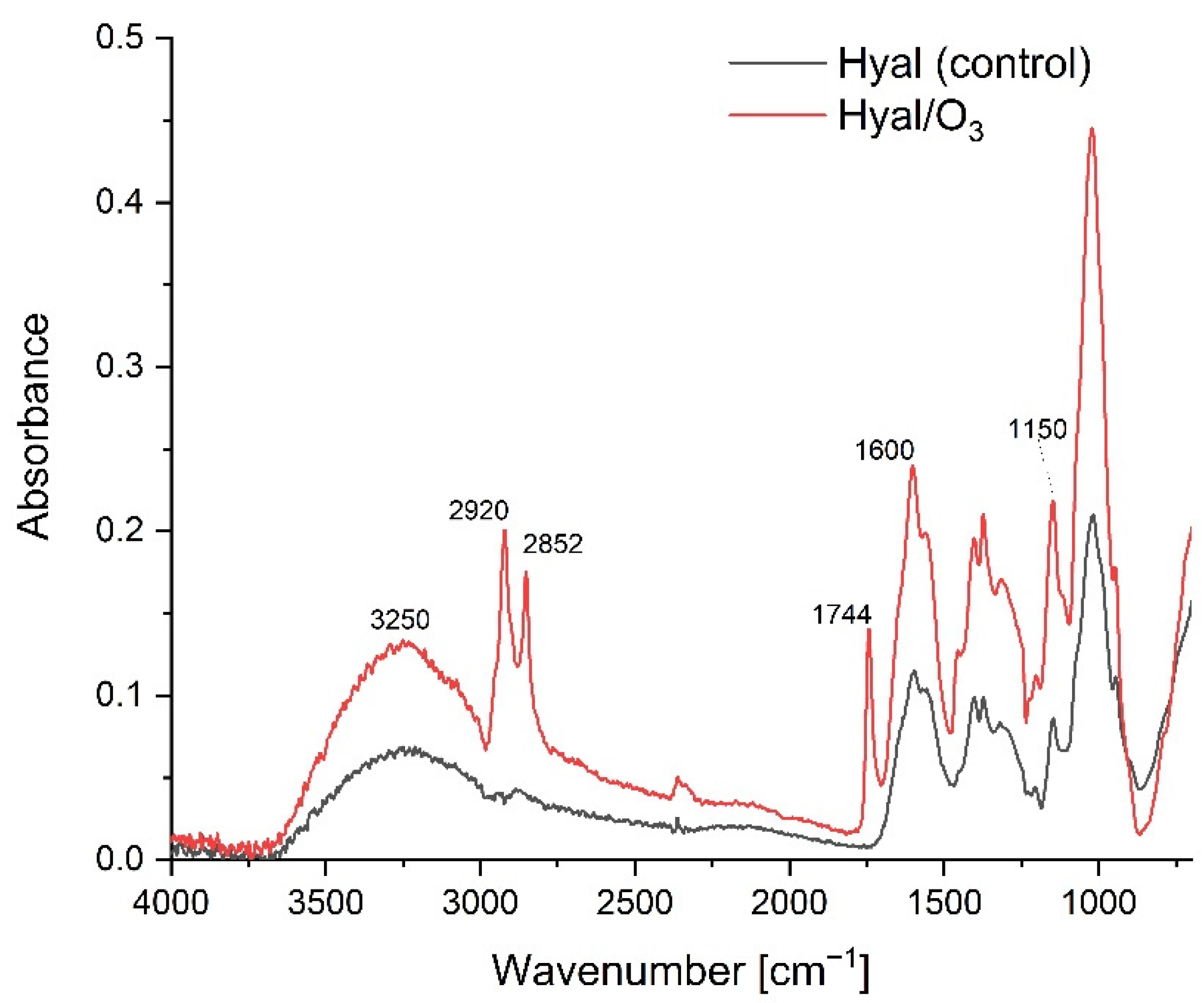 Ijms 23 14005 g003 Ijms 23 14005 g003