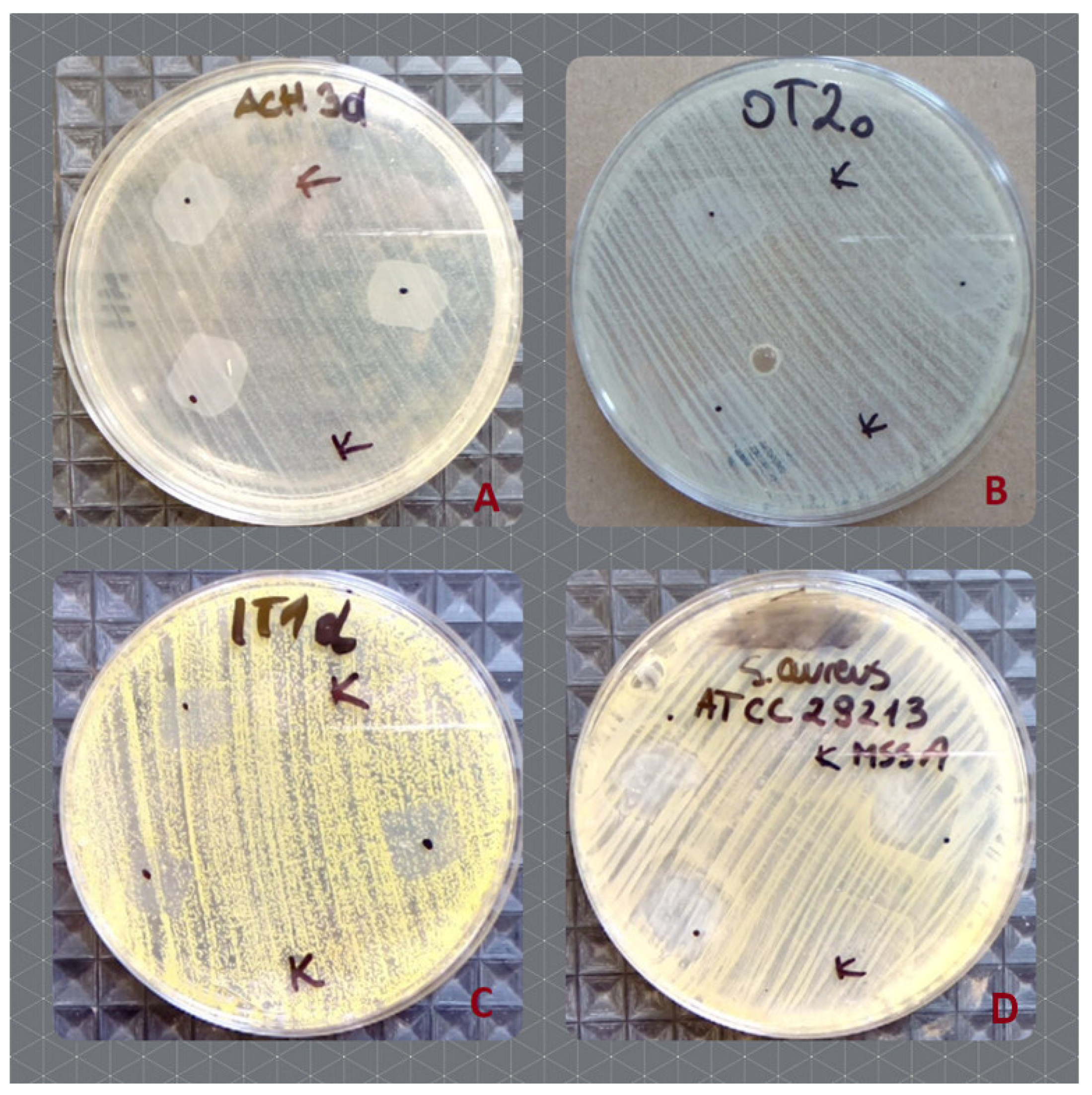 Ijms 23 14005 g006 Ijms 23 14005 g006