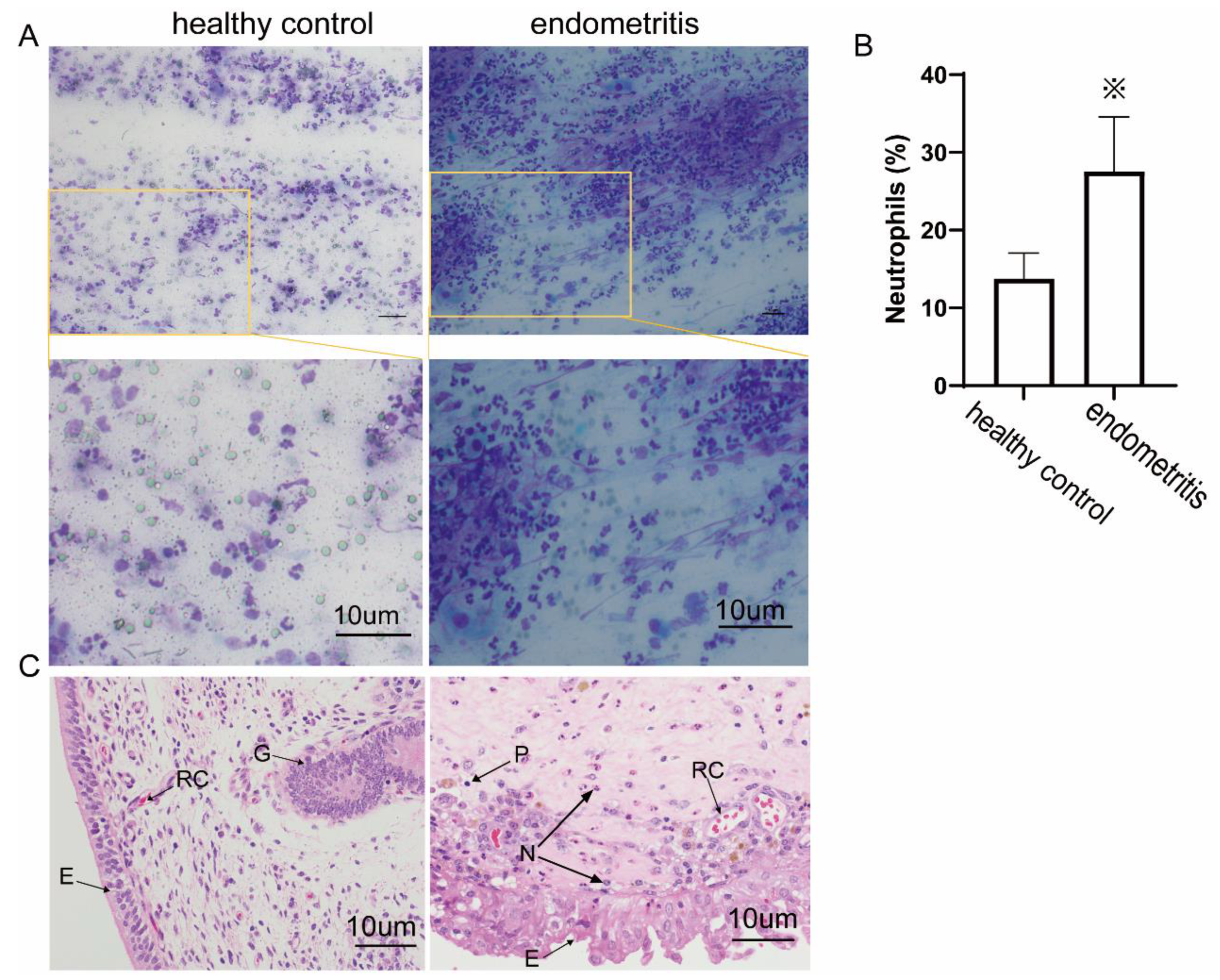 Ijms 23 14013 g001 Ijms 23 14013 g001