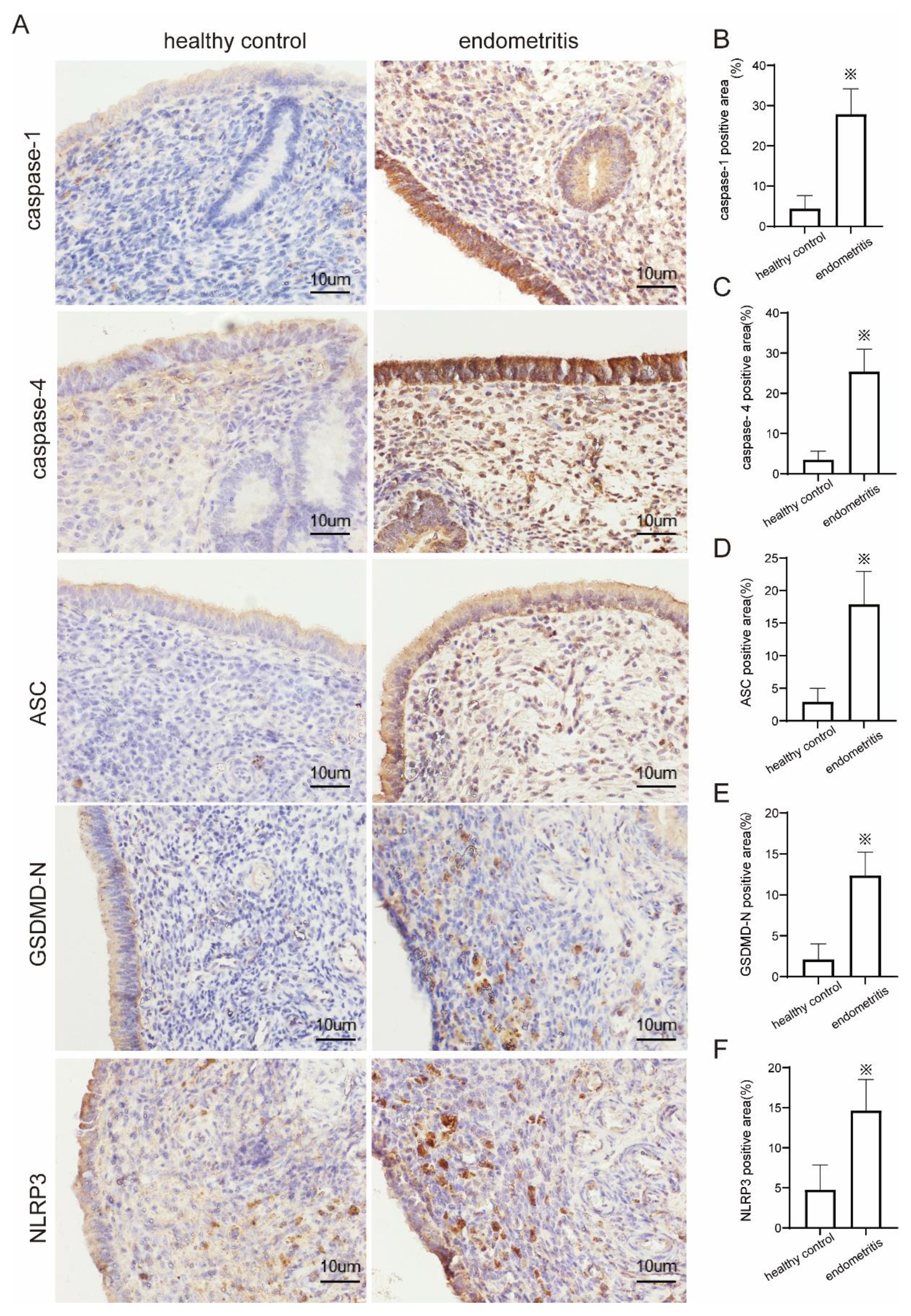 Ijms 23 14013 g004 Ijms 23 14013 g004