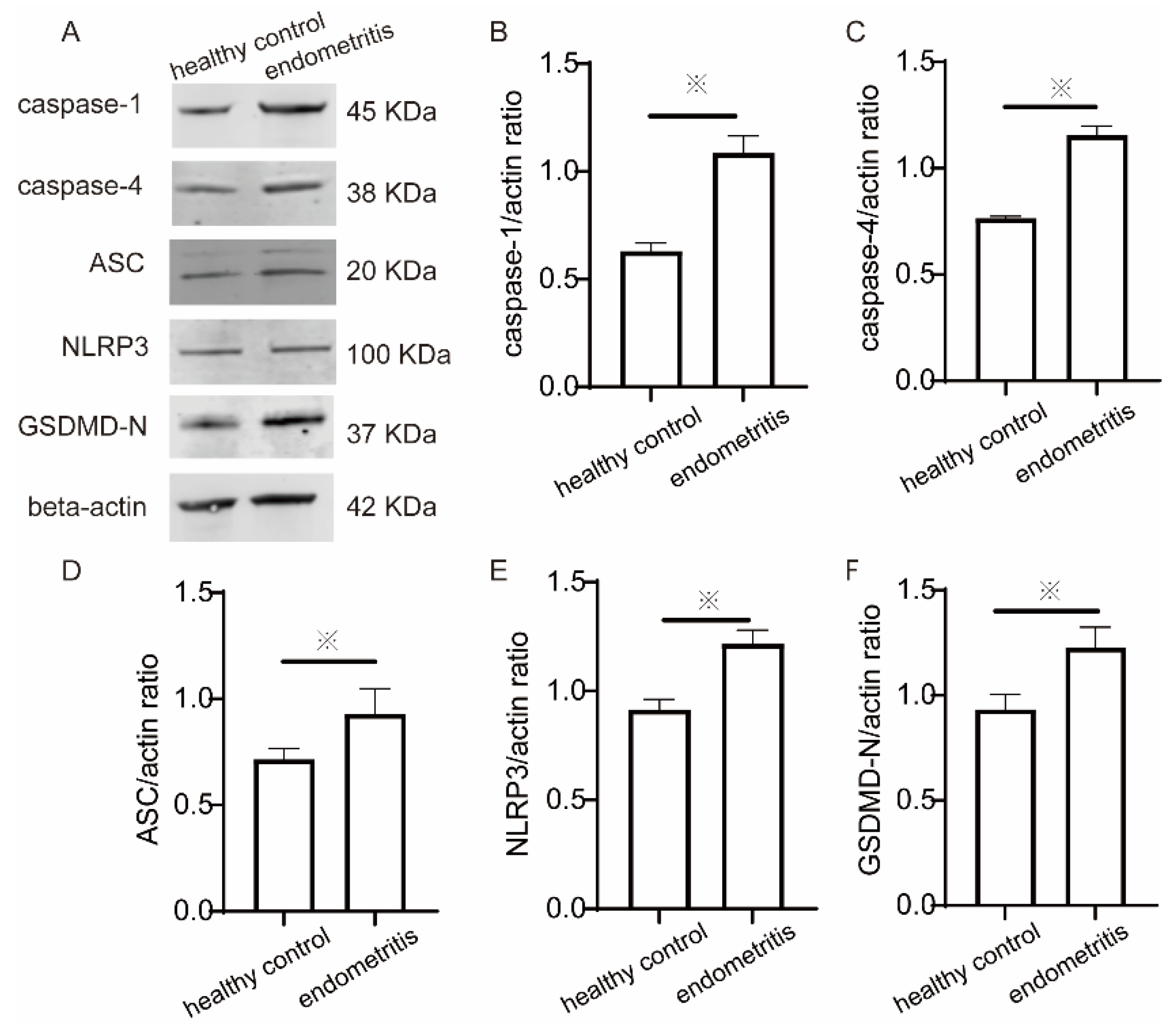 Ijms 23 14013 g005 Ijms 23 14013 g005