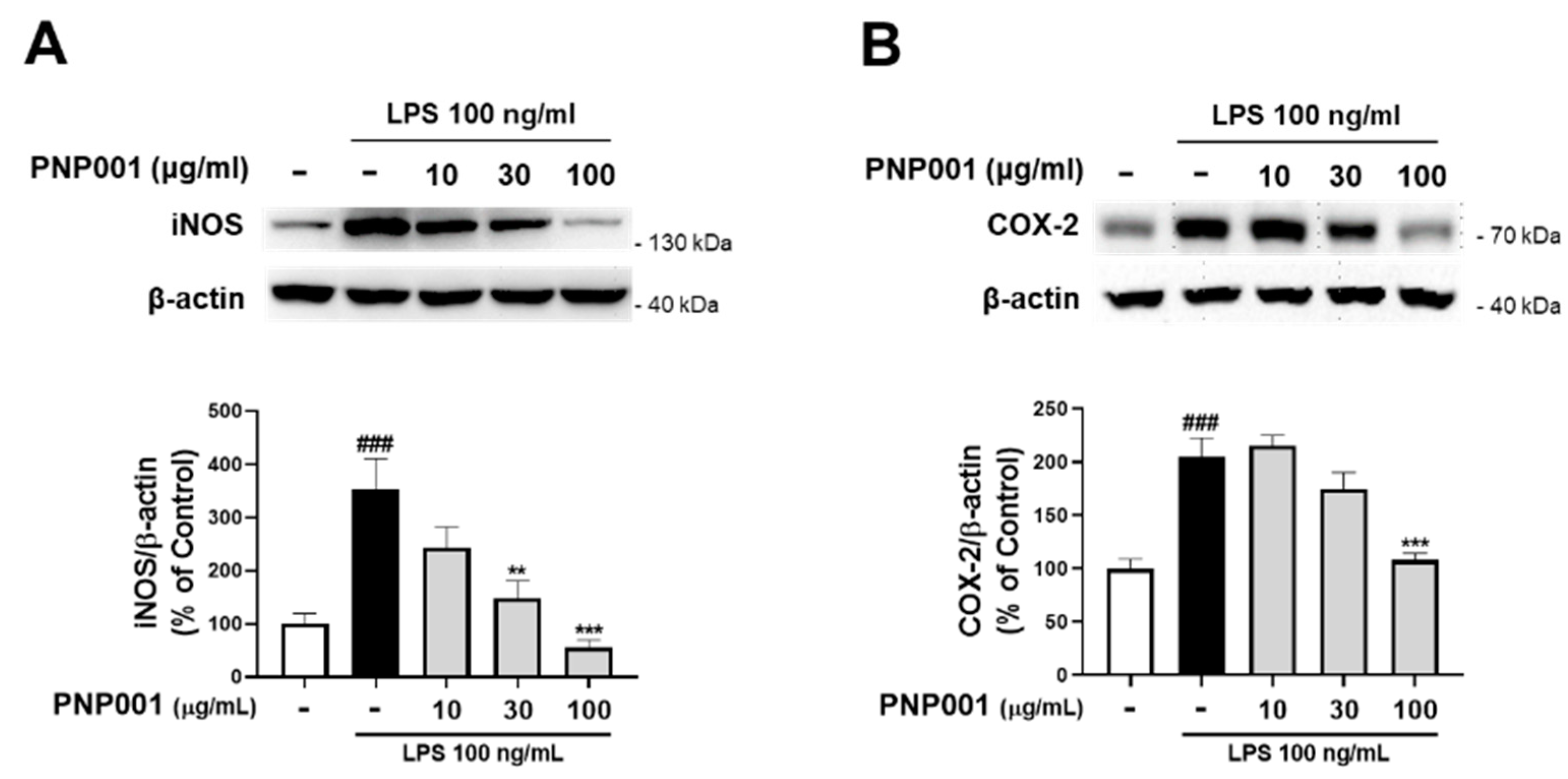 Ijms 23 14015 g002 Ijms 23 14015 g002