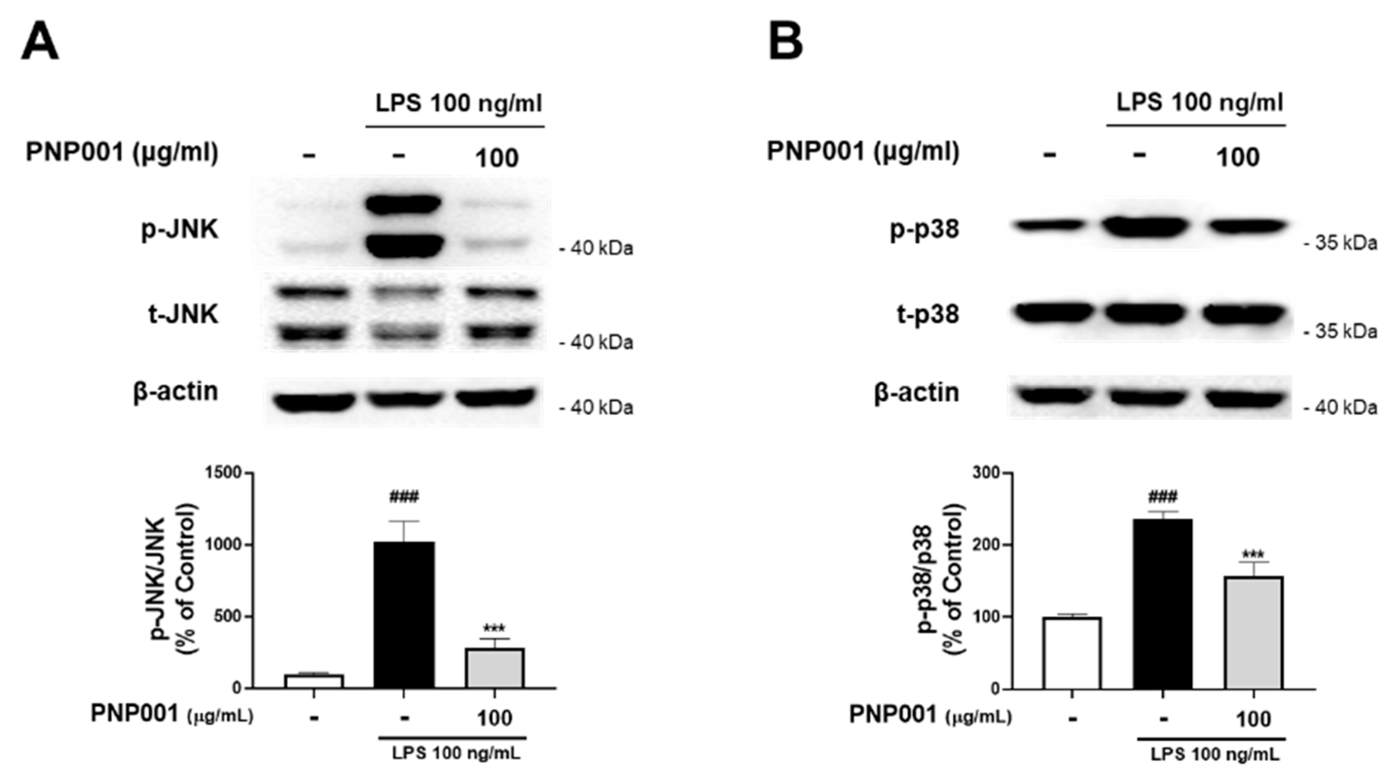 Ijms 23 14015 g003 Ijms 23 14015 g003