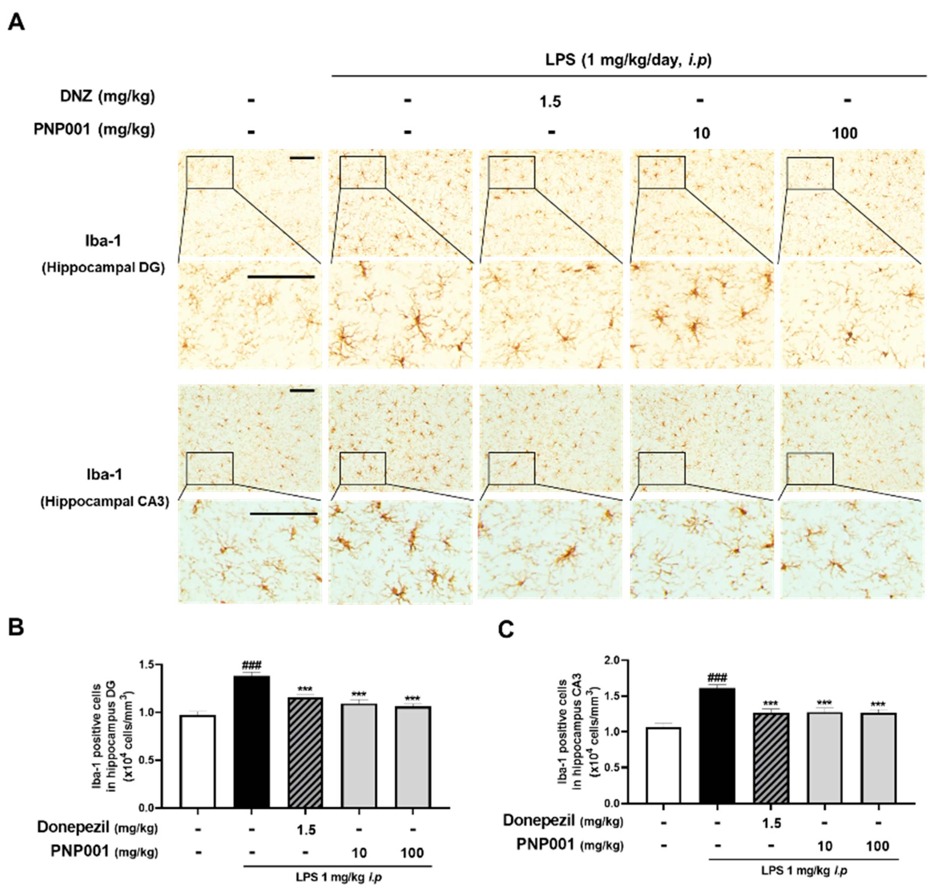 Ijms 23 14015 g004 Ijms 23 14015 g004