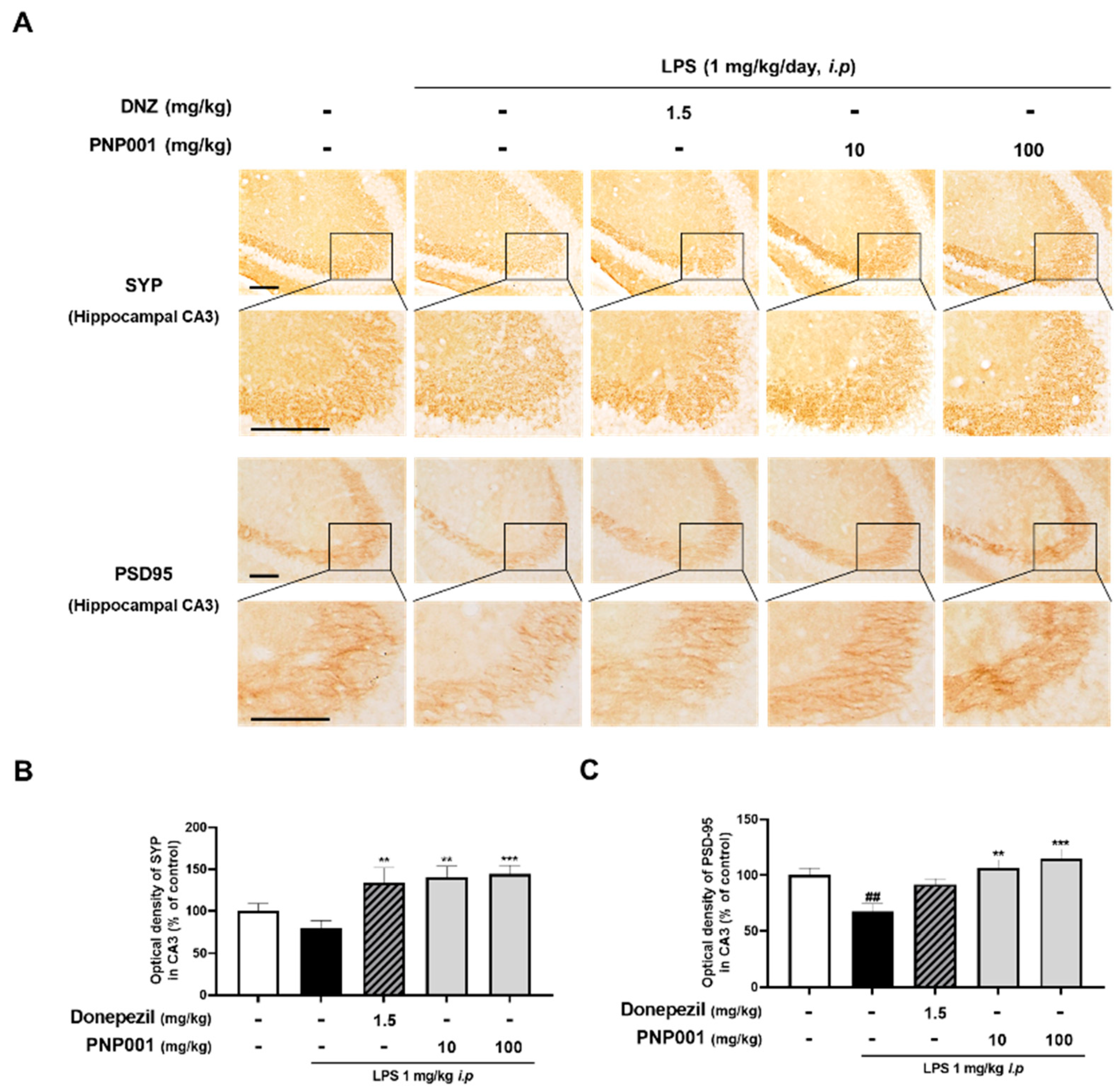 Ijms 23 14015 g005 Ijms 23 14015 g005
