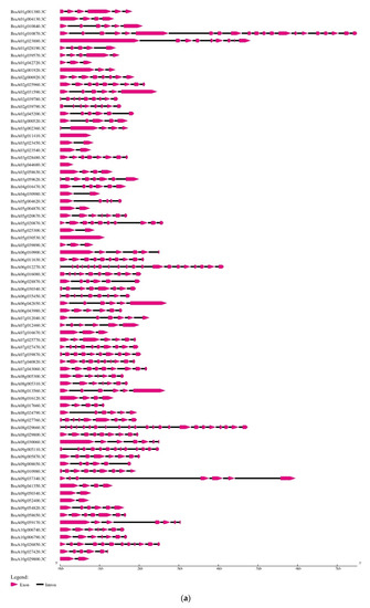 Cheats for GTA 5 :) by Di Zhang