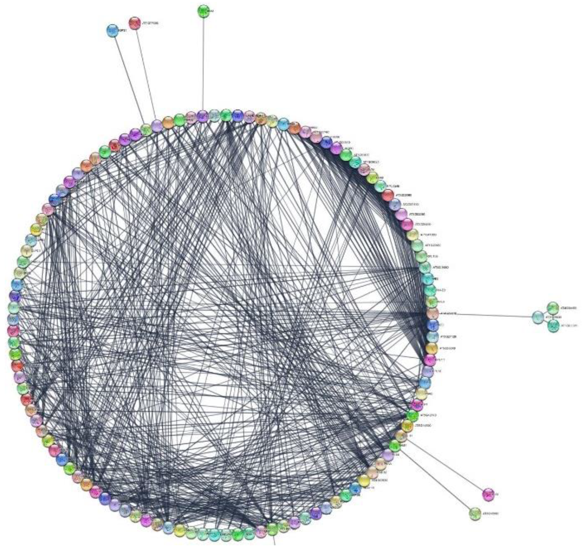 Ijms 23 14027 g002 Ijms 23 14027 g002