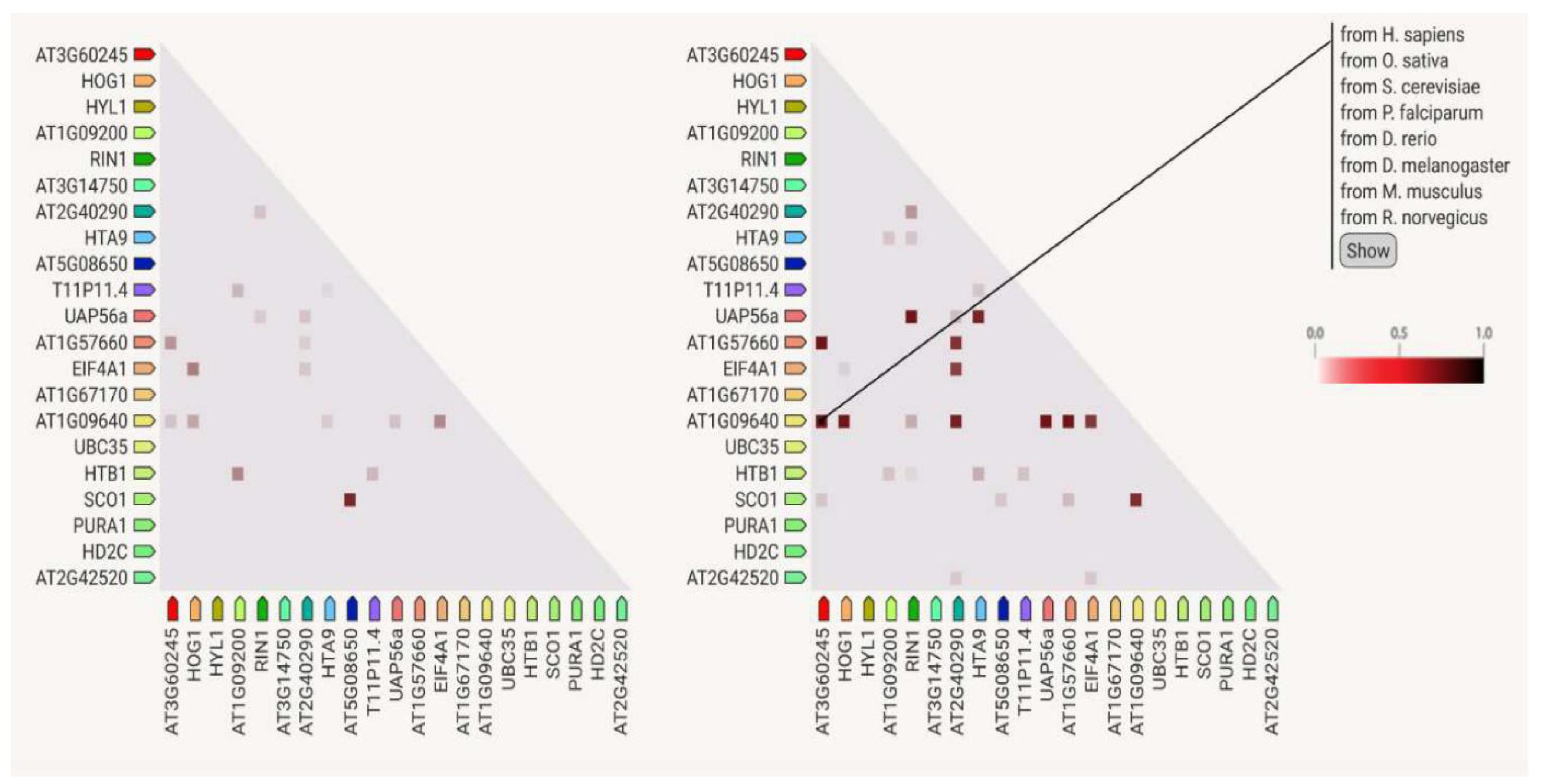 Ijms 23 14027 g005 Ijms 23 14027 g005