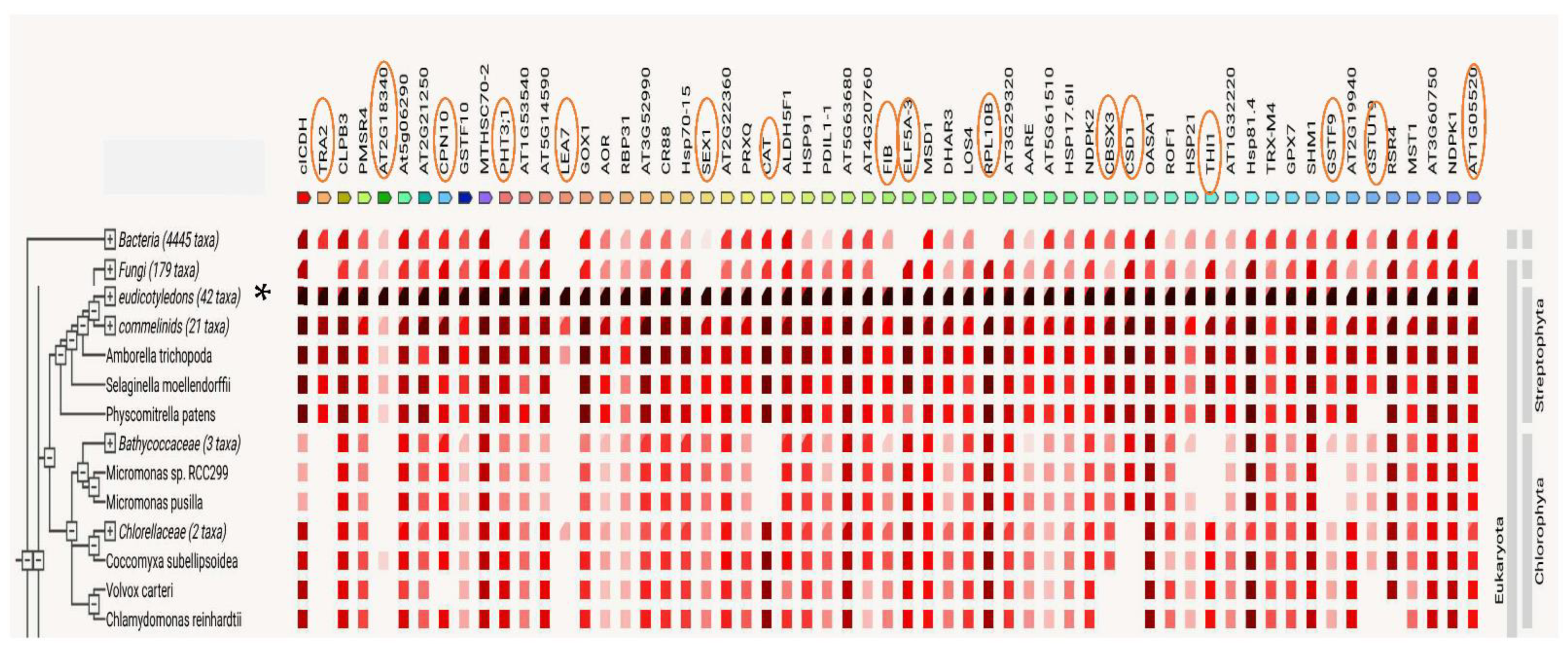 Ijms 23 14027 g006 Ijms 23 14027 g006