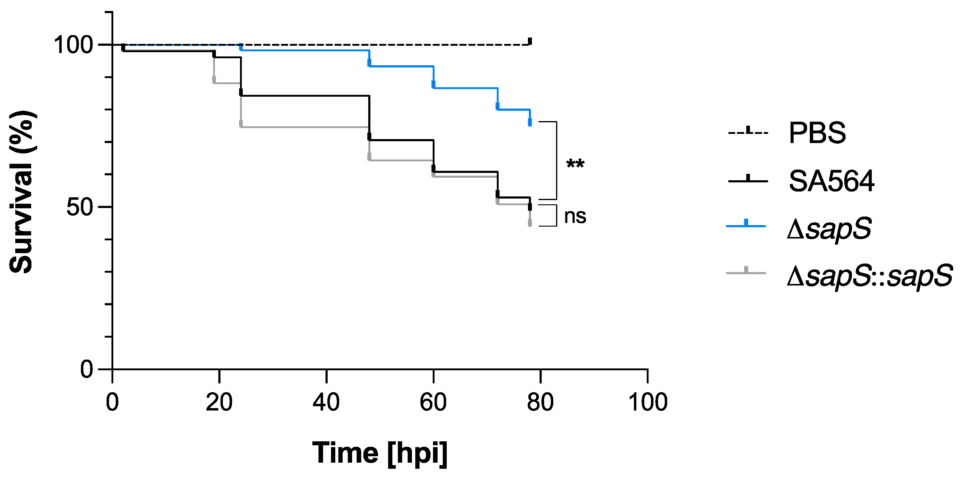 Ijms 23 14031 g003 Ijms 23 14031 g003