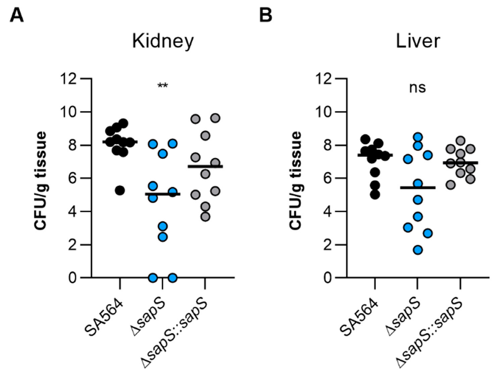Ijms 23 14031 g004 Ijms 23 14031 g004