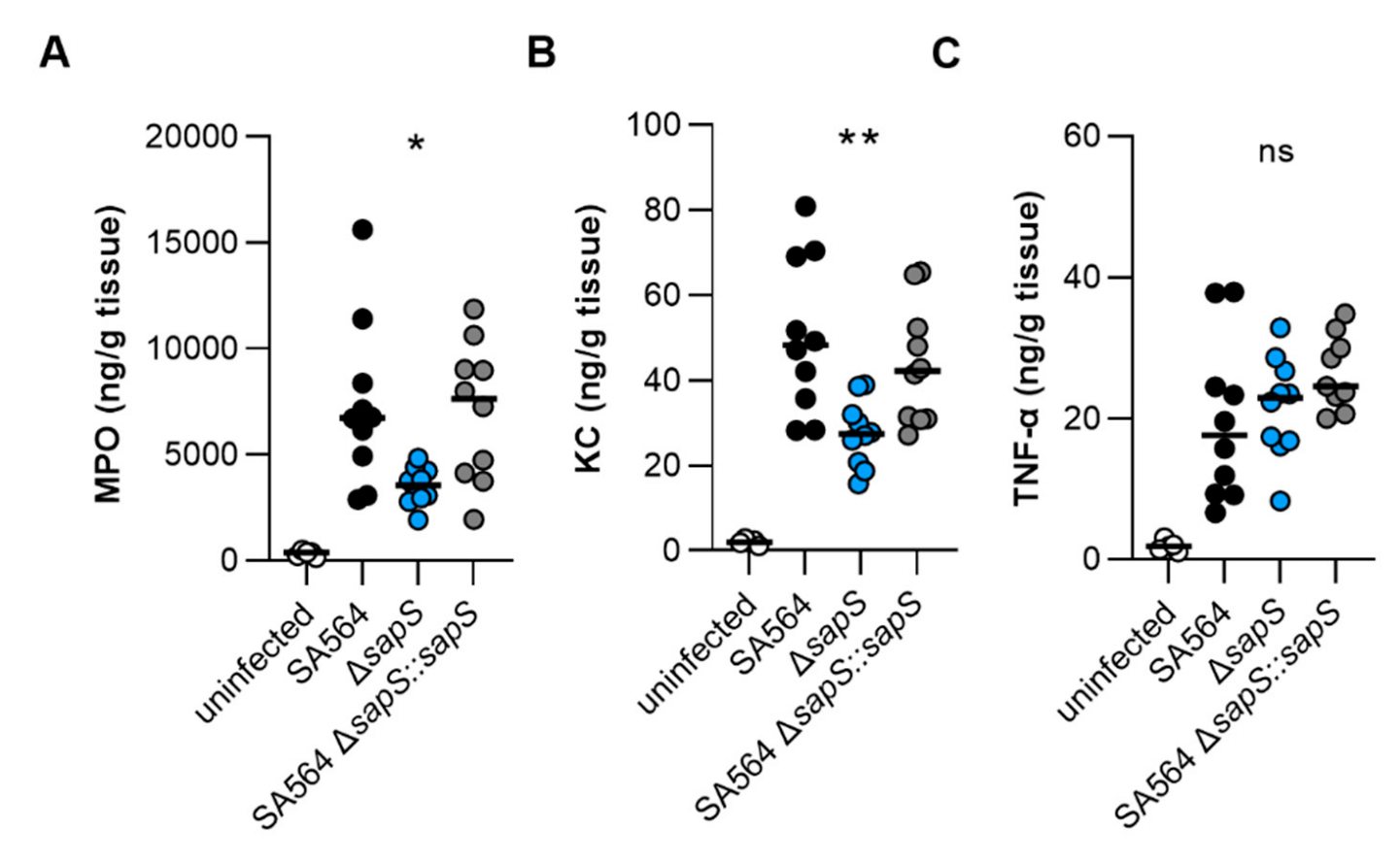 Ijms 23 14031 g006 Ijms 23 14031 g006