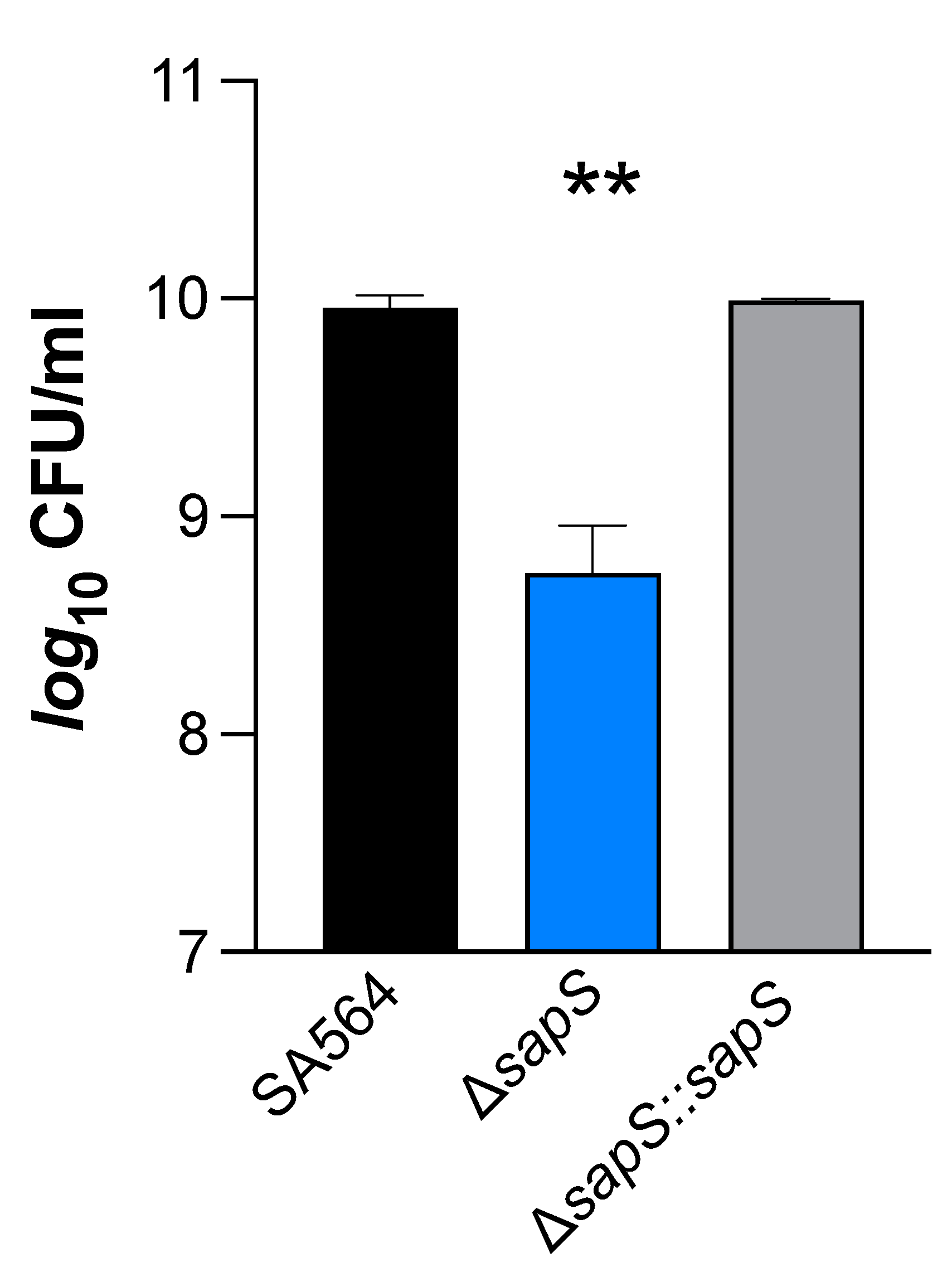 Ijms 23 14031 g008 Ijms 23 14031 g008