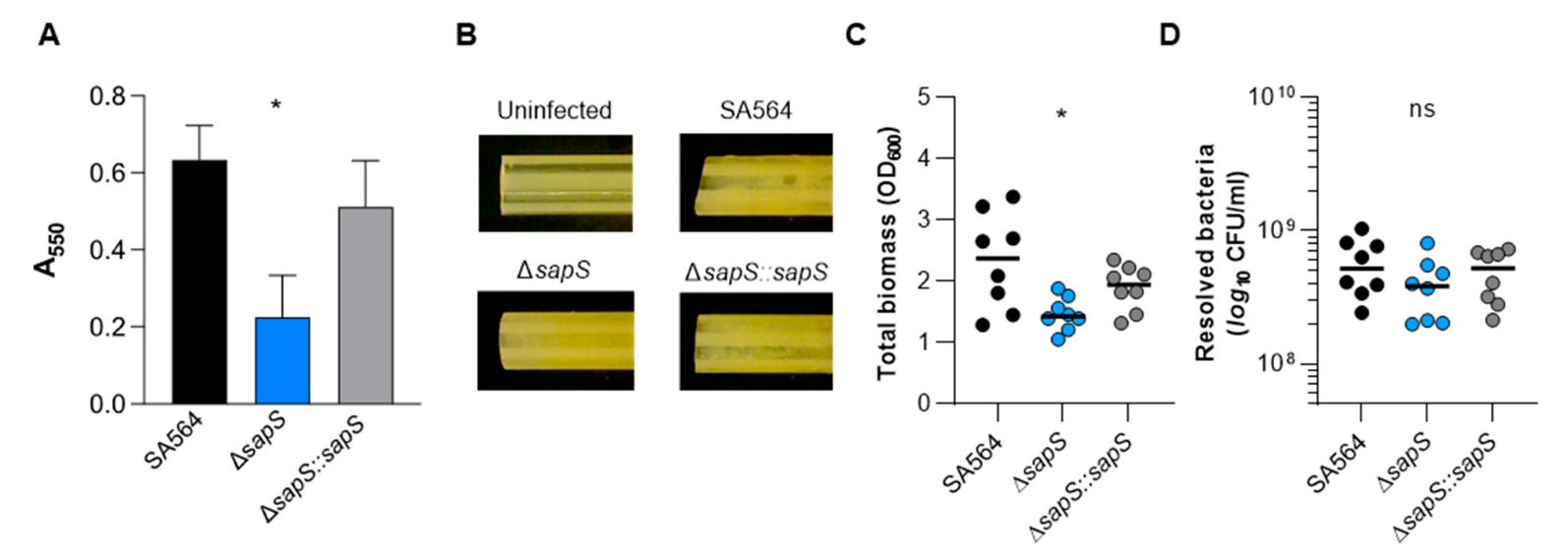 Ijms 23 14031 g010 Ijms 23 14031 g010