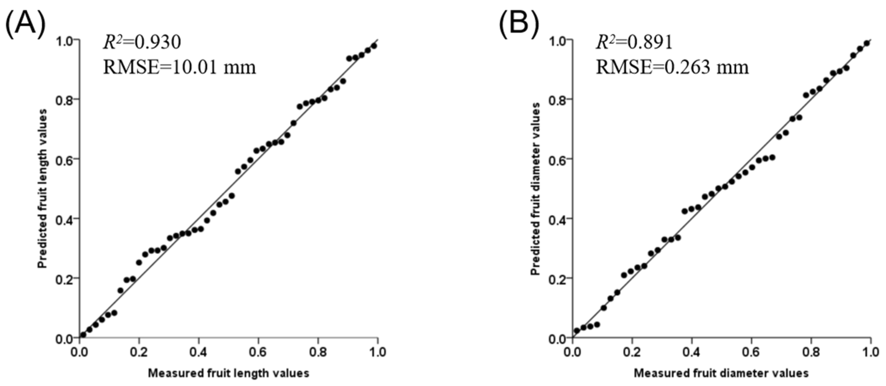 Ijms 23 14033 g006 Ijms 23 14033 g006