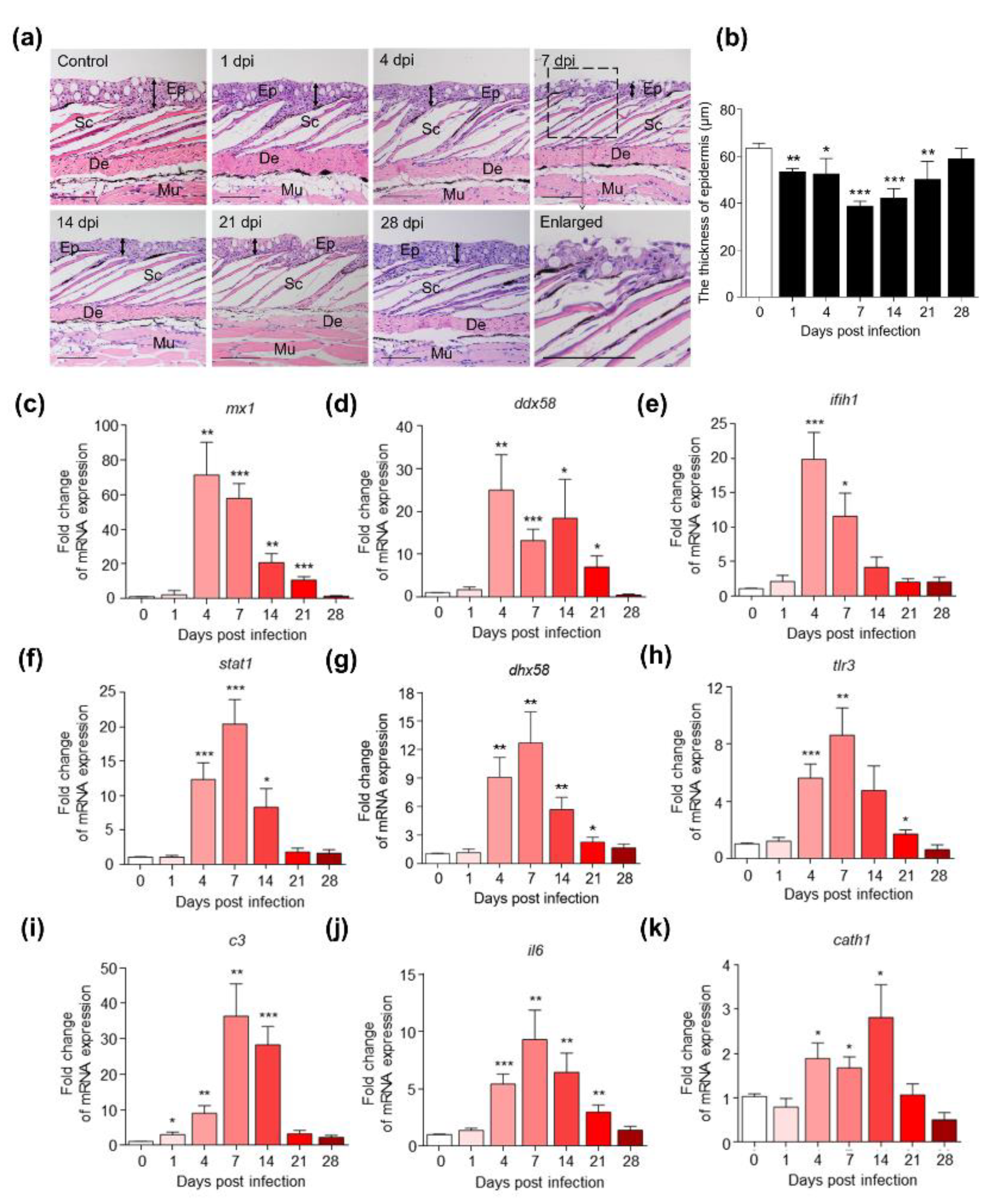 Ijms 23 14037 g002 Ijms 23 14037 g002