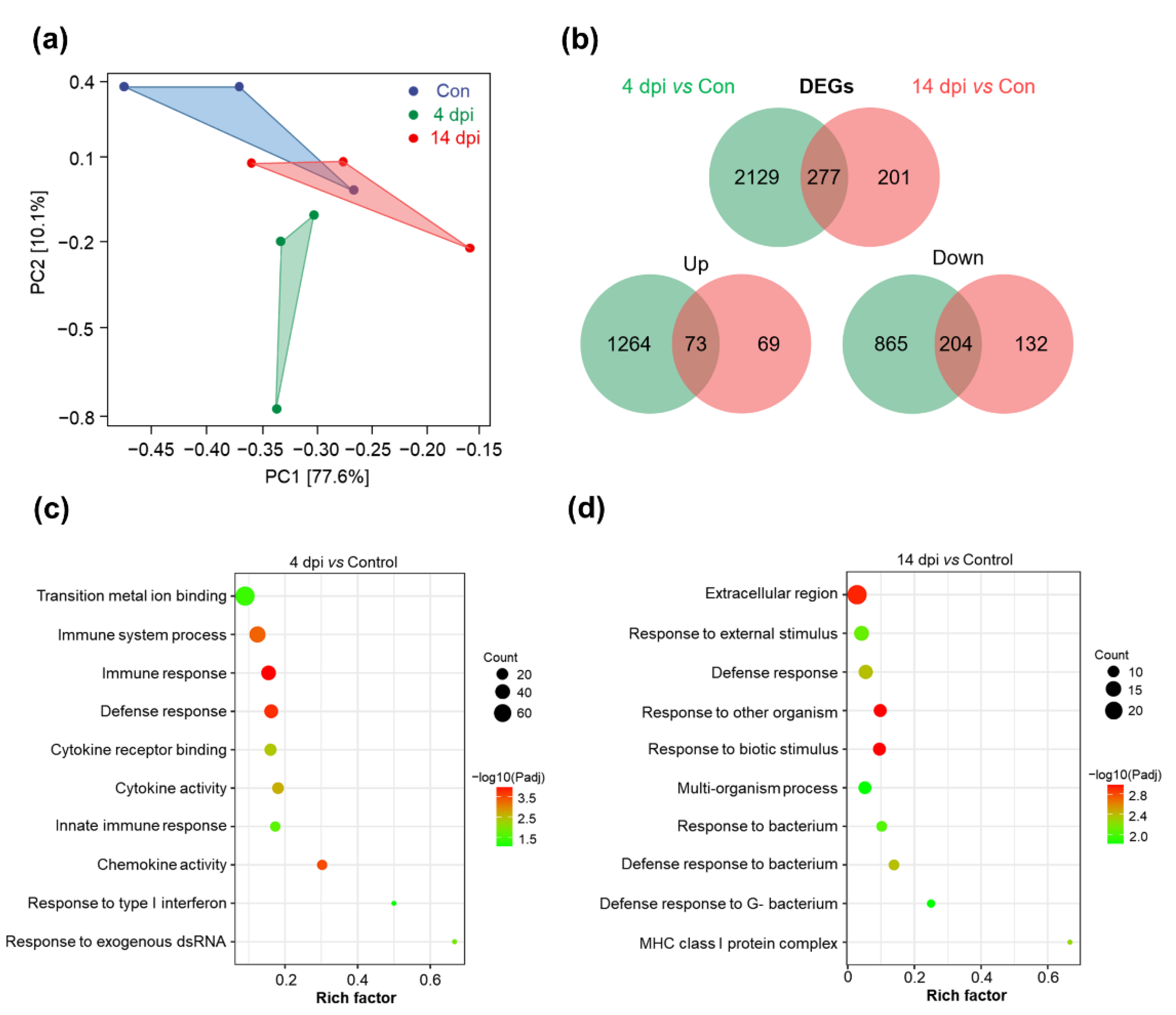 Ijms 23 14037 g003 Ijms 23 14037 g003