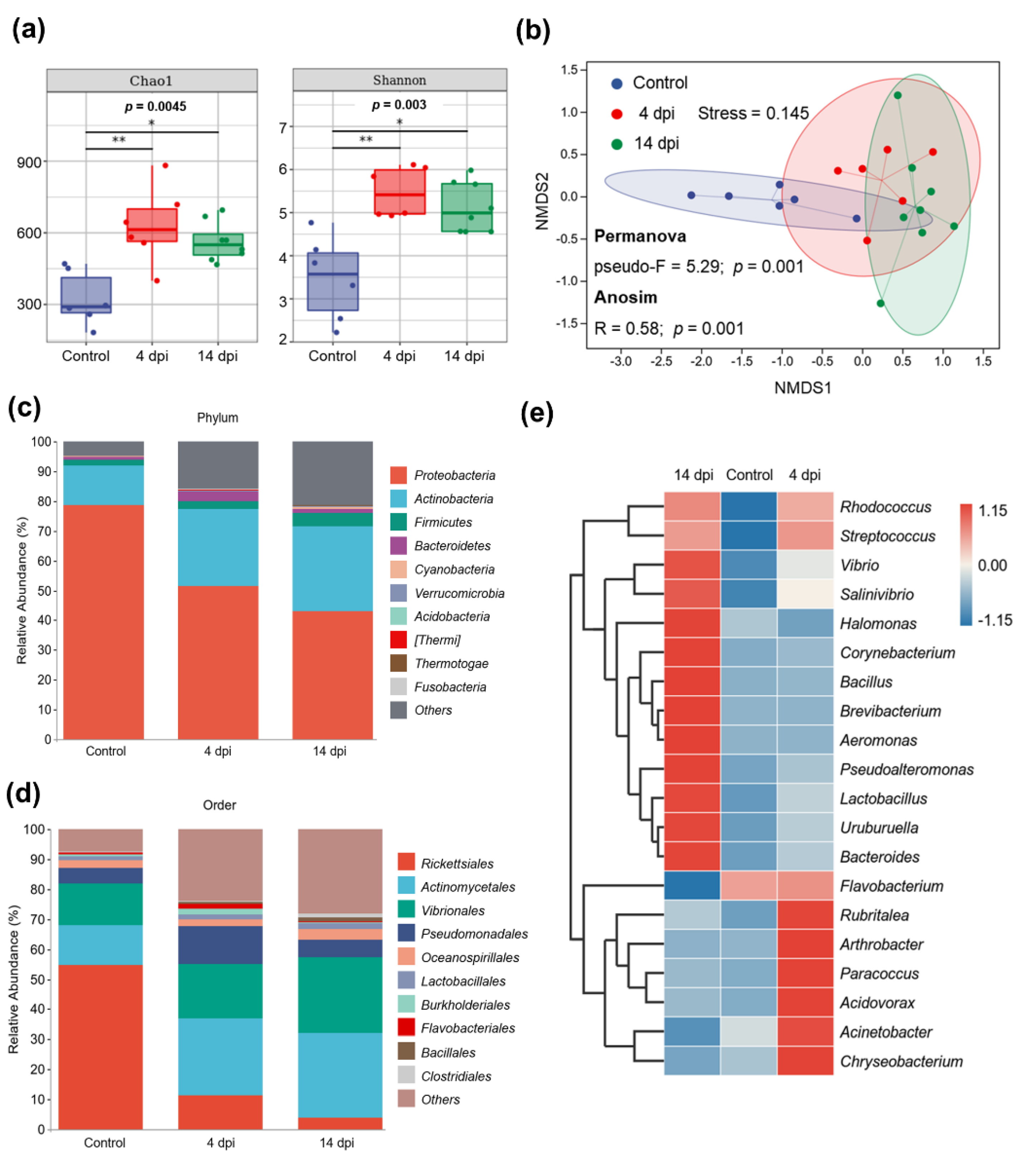 Ijms 23 14037 g004 Ijms 23 14037 g004