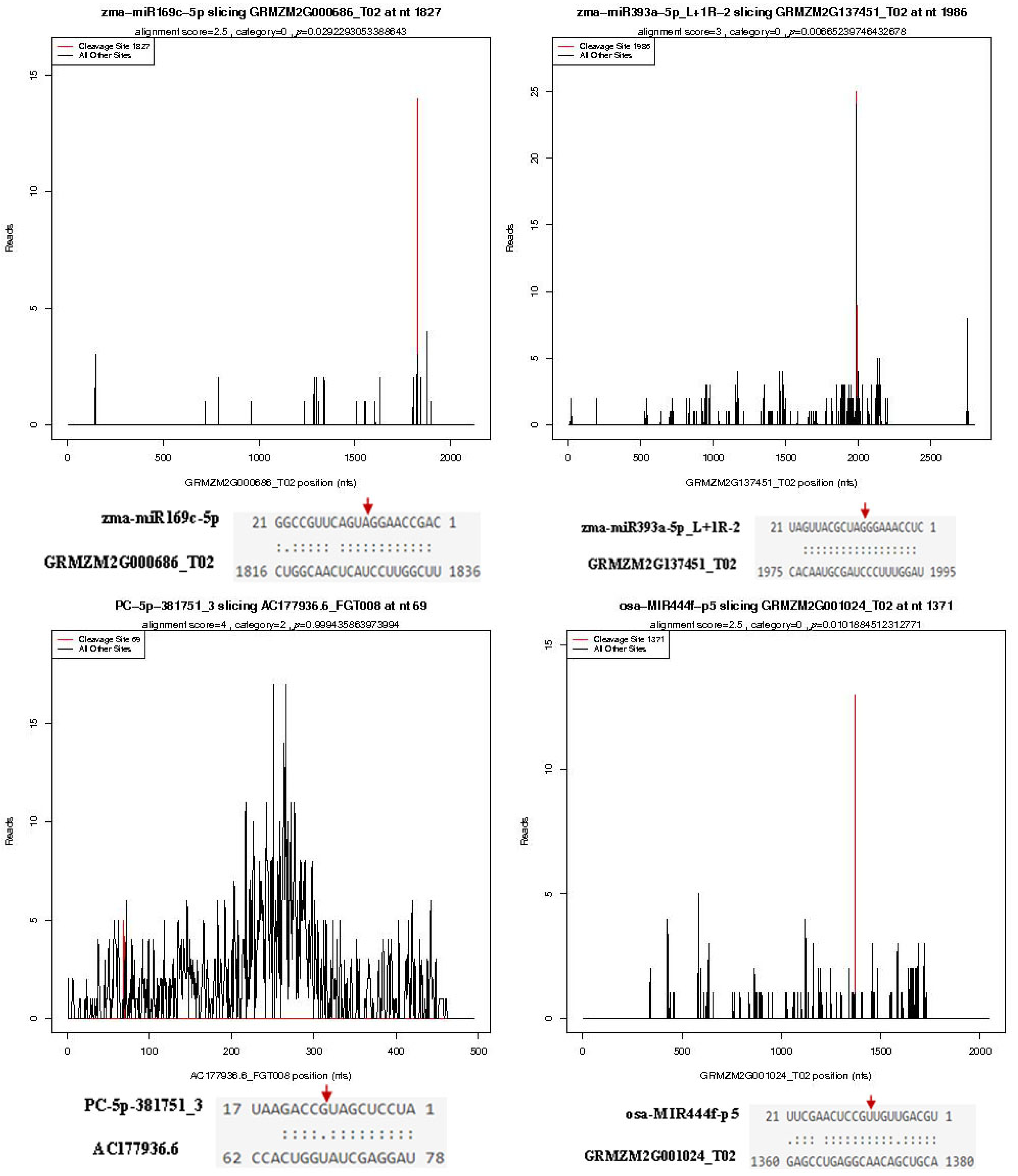 Ijms 23 14038 g004 Ijms 23 14038 g004