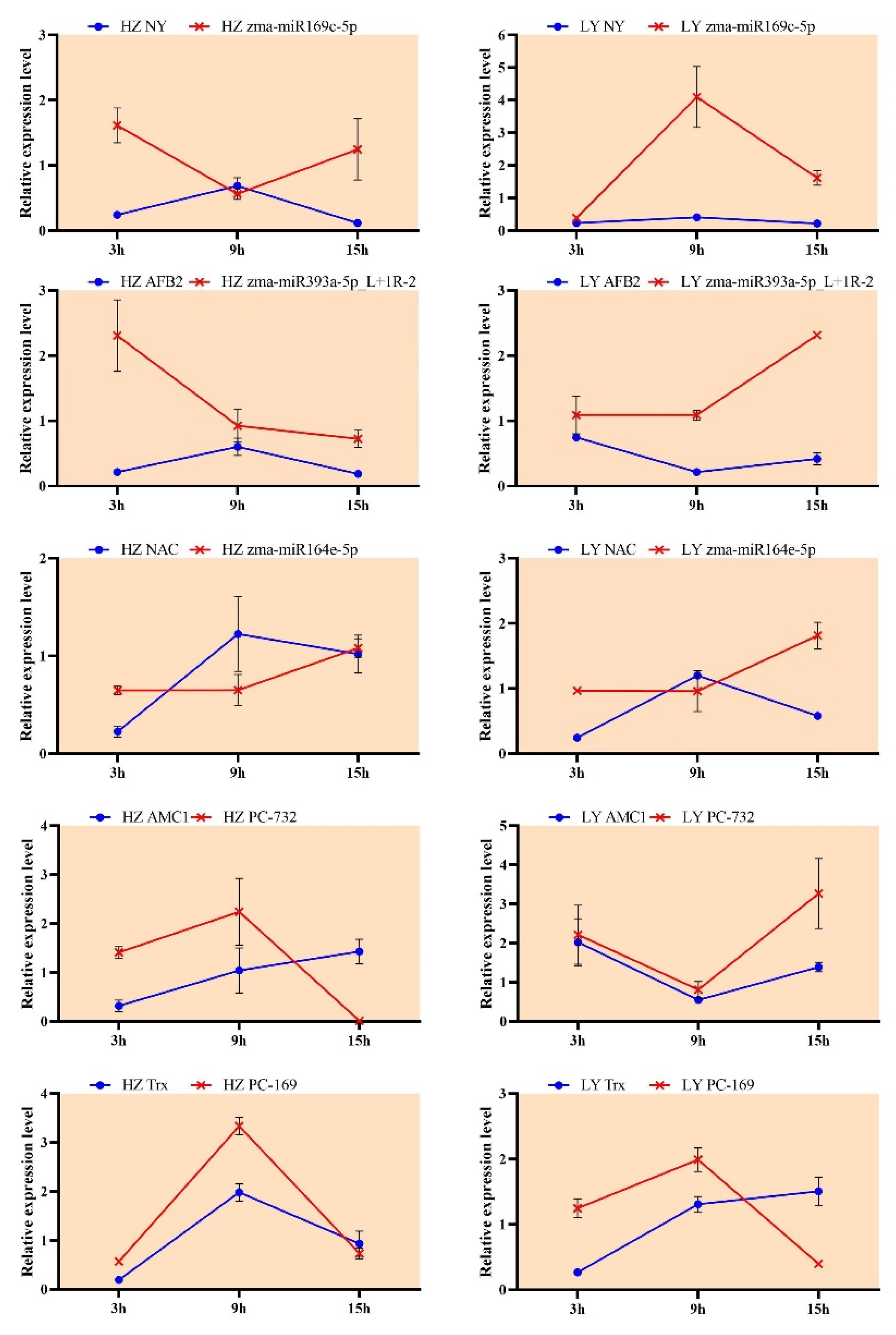 Ijms 23 14038 g006 Ijms 23 14038 g006