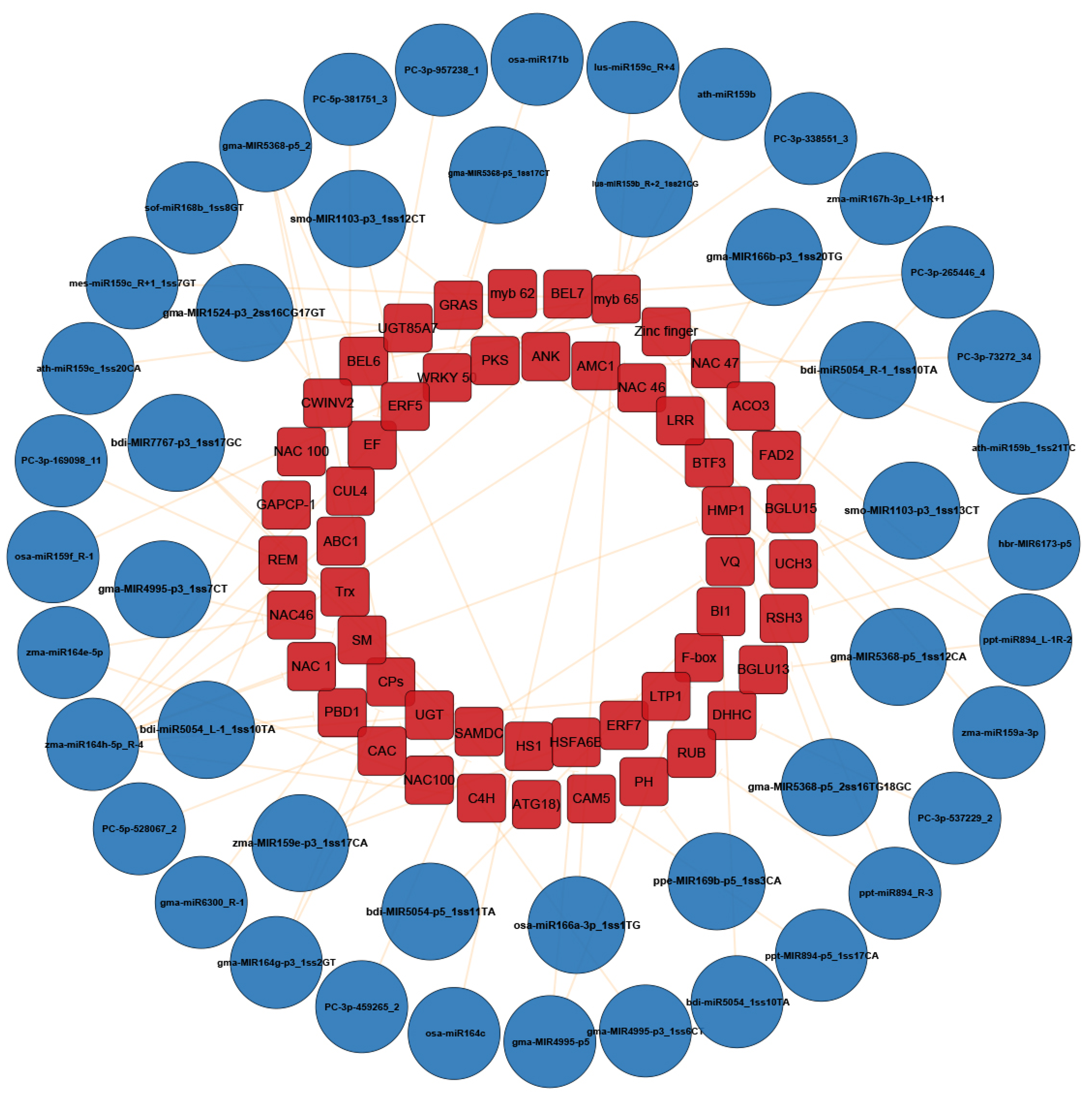 Ijms 23 14038 g007 Ijms 23 14038 g007