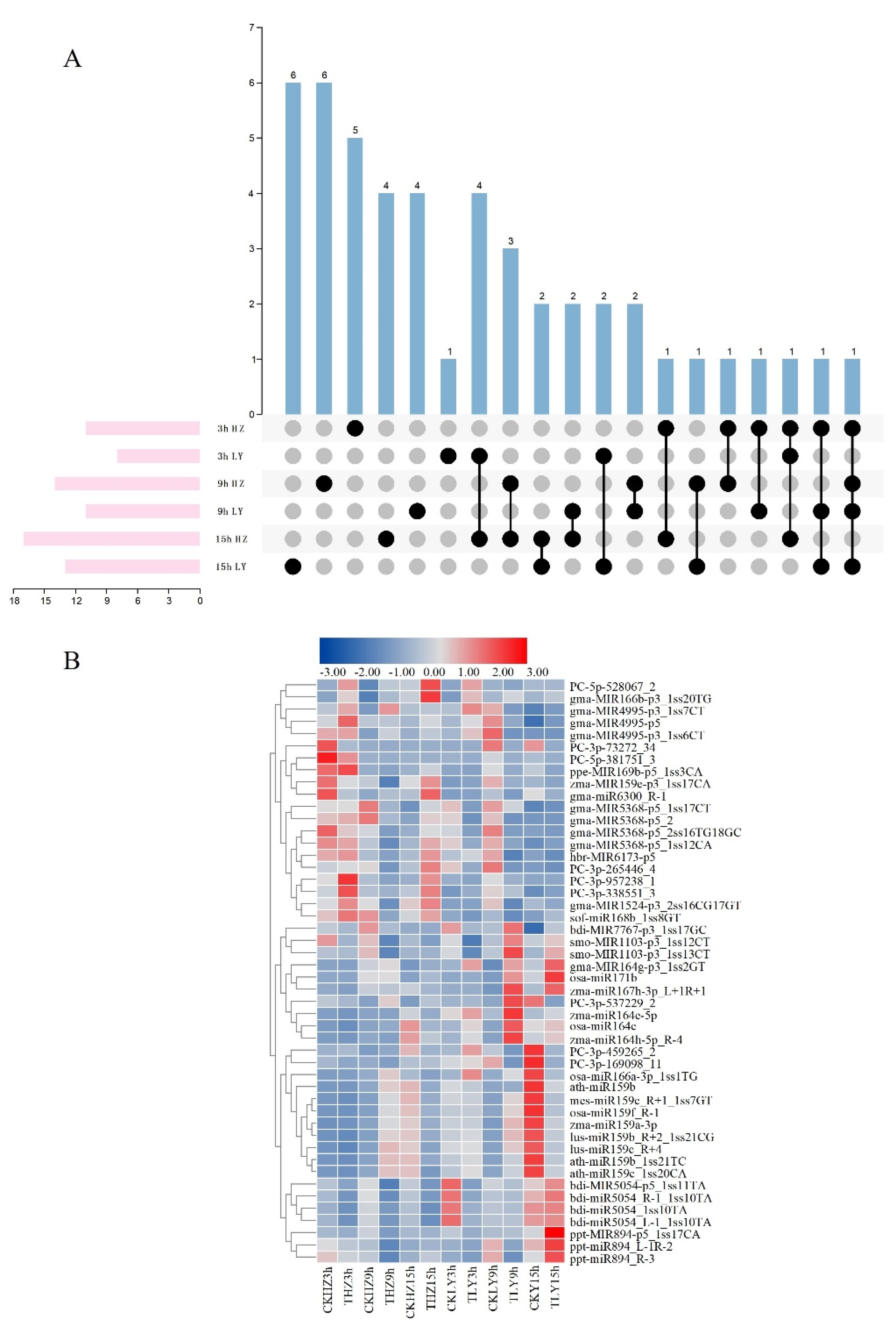 Ijms 23 14038 g008 Ijms 23 14038 g008
