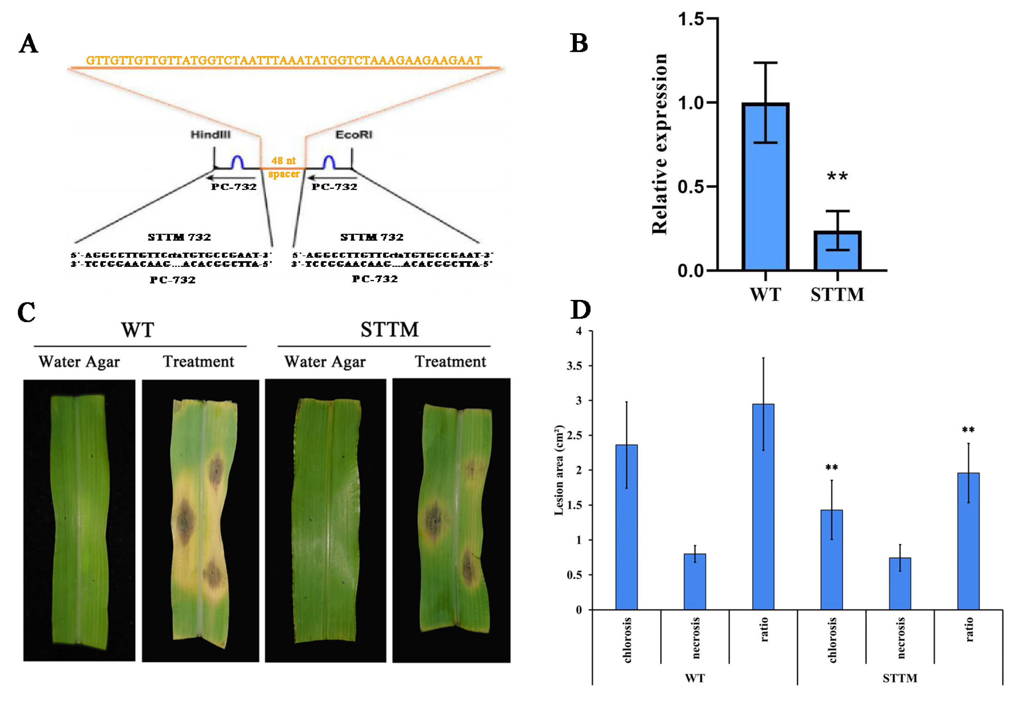 Ijms 23 14038 g010 Ijms 23 14038 g010