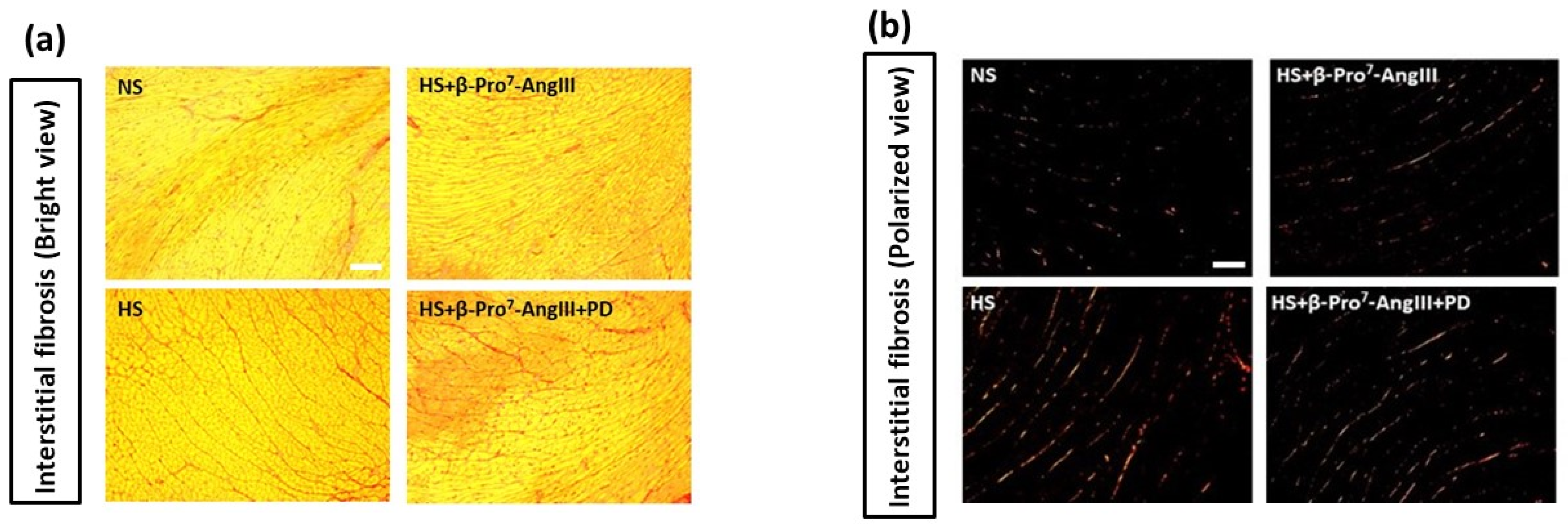 Ijms 23 14039 g001a Ijms 23 14039 g001a