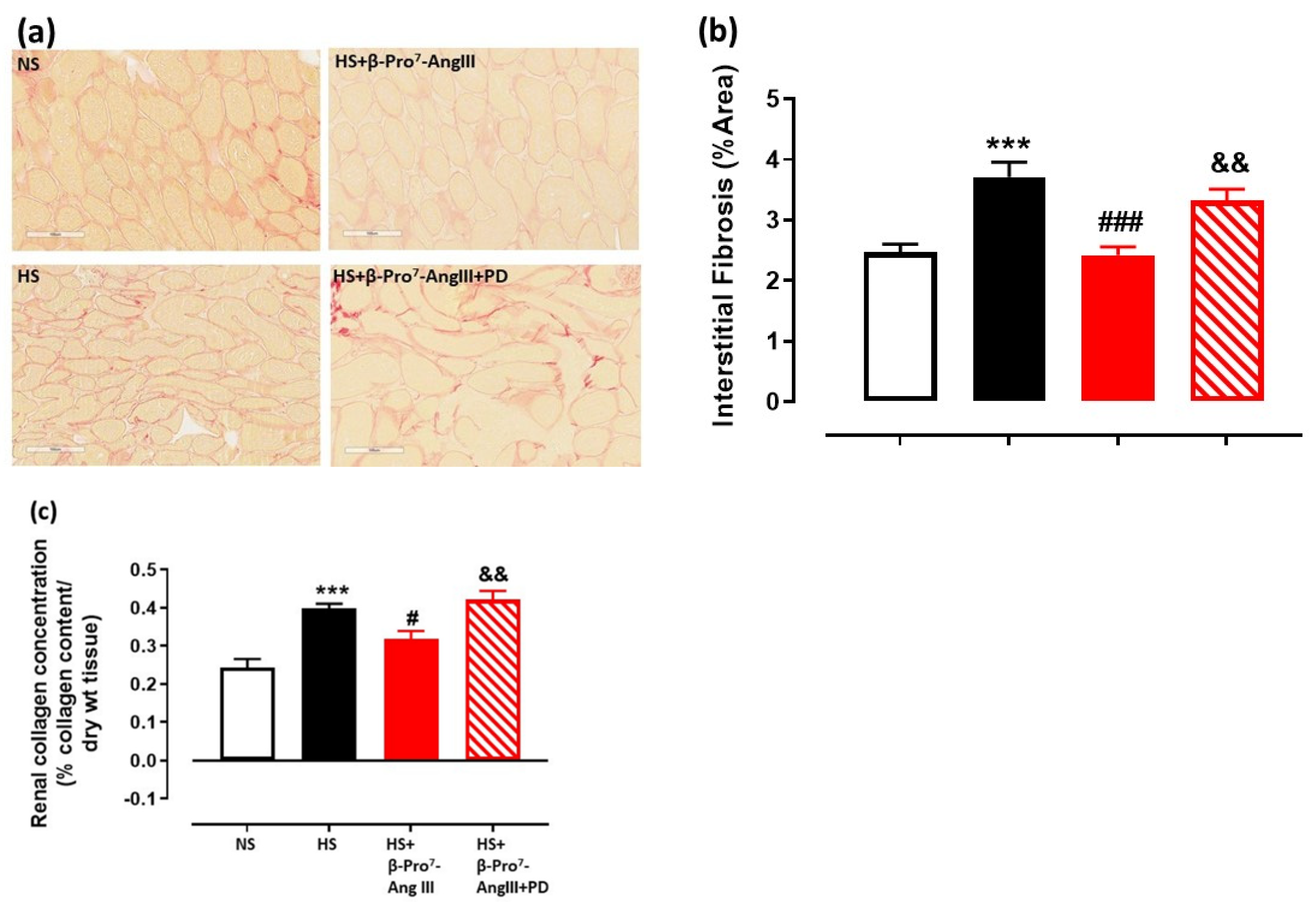 Ijms 23 14039 g002 Ijms 23 14039 g002