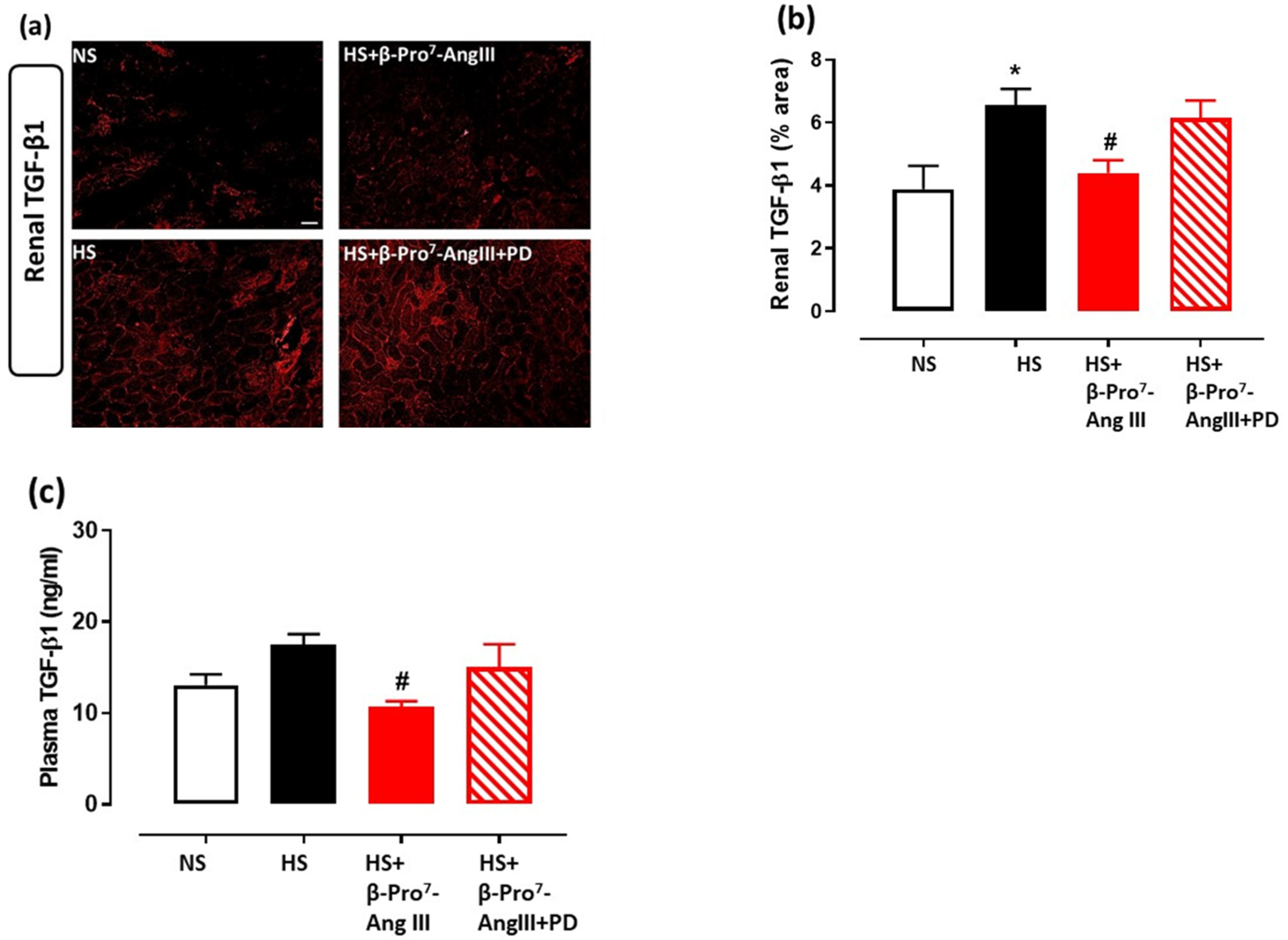 Ijms 23 14039 g004 Ijms 23 14039 g004