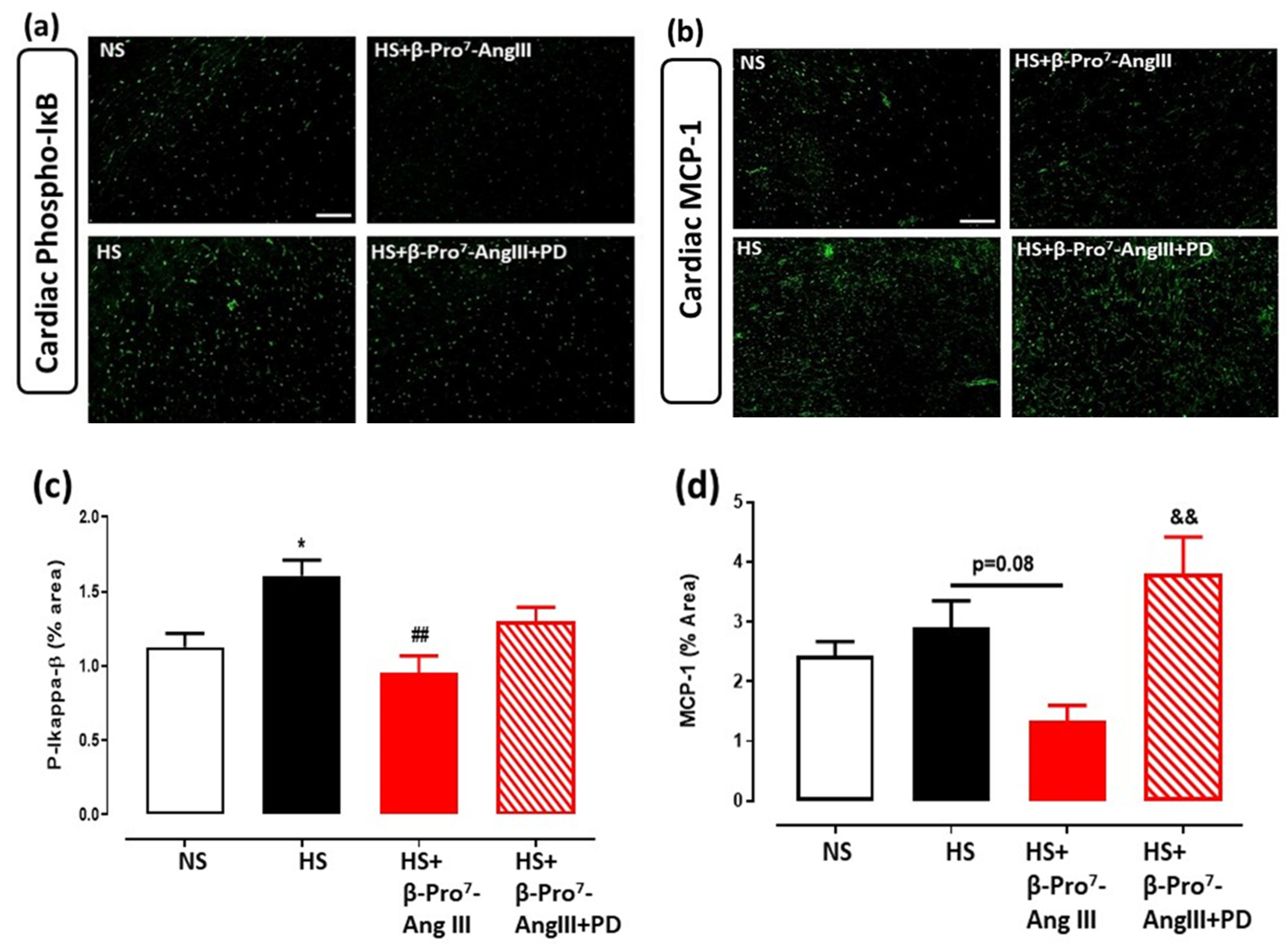 Ijms 23 14039 g005 Ijms 23 14039 g005