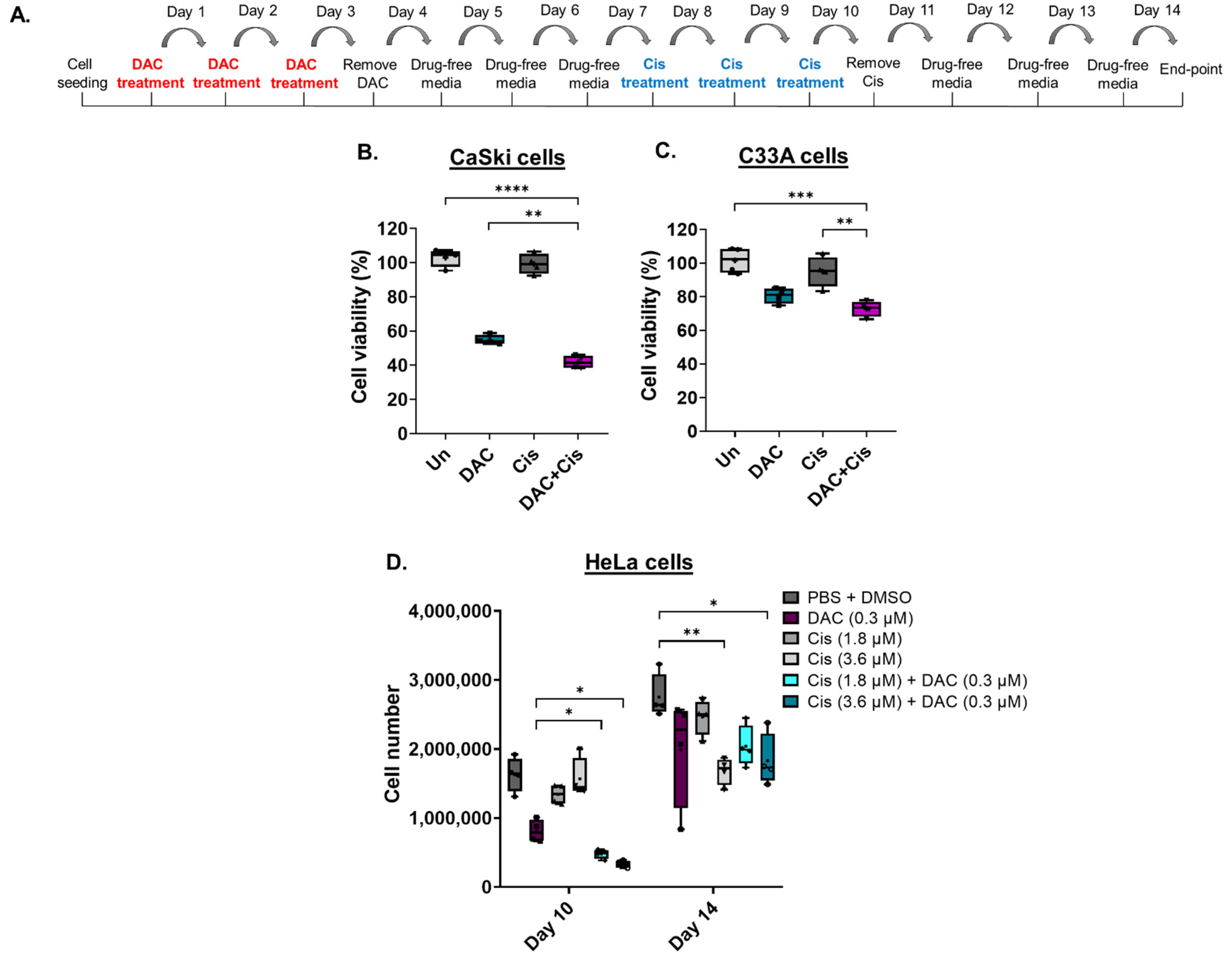 Ijms 23 14042 g004 Ijms 23 14042 g004