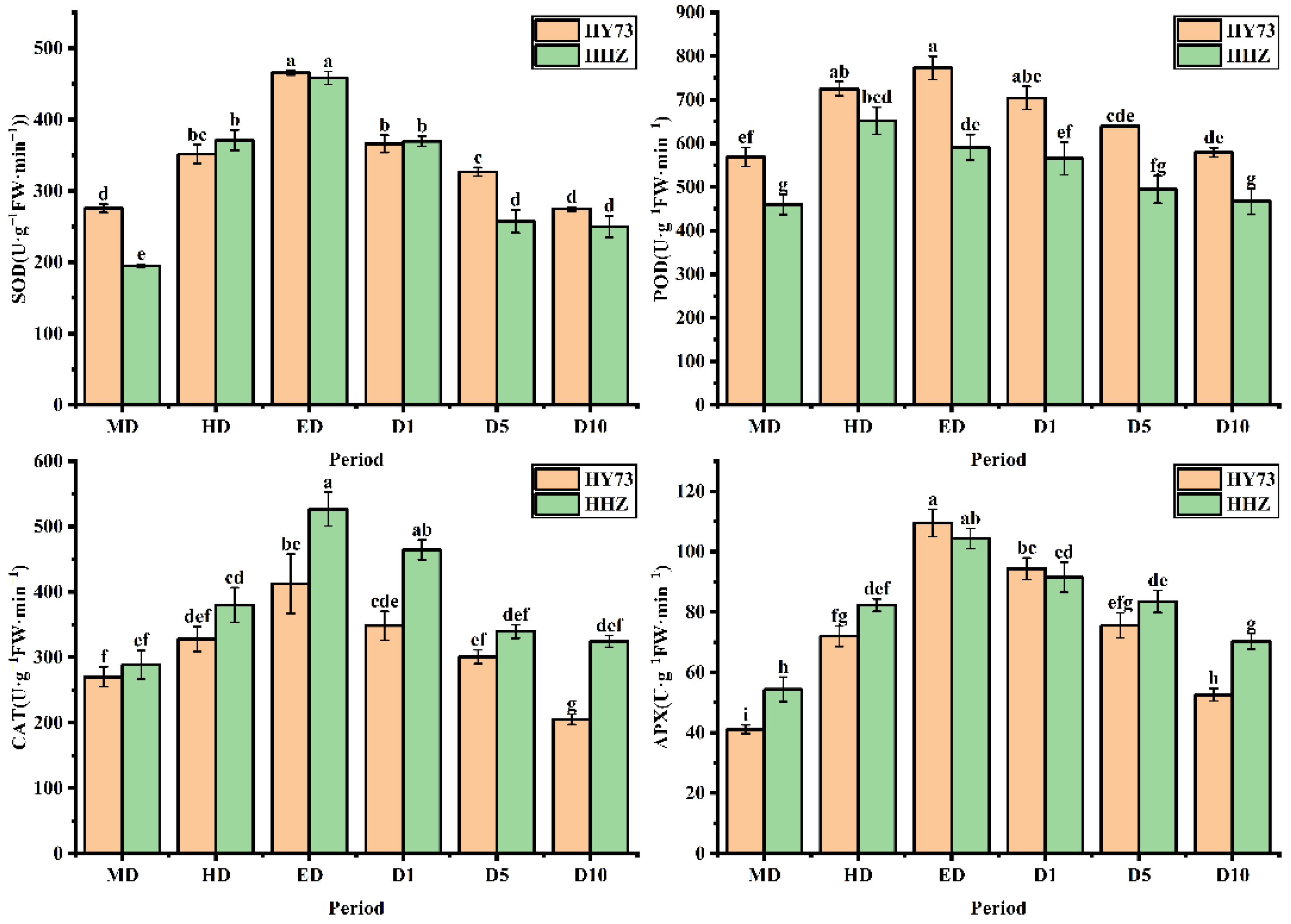 Ijms 23 14043 g003 Ijms 23 14043 g003