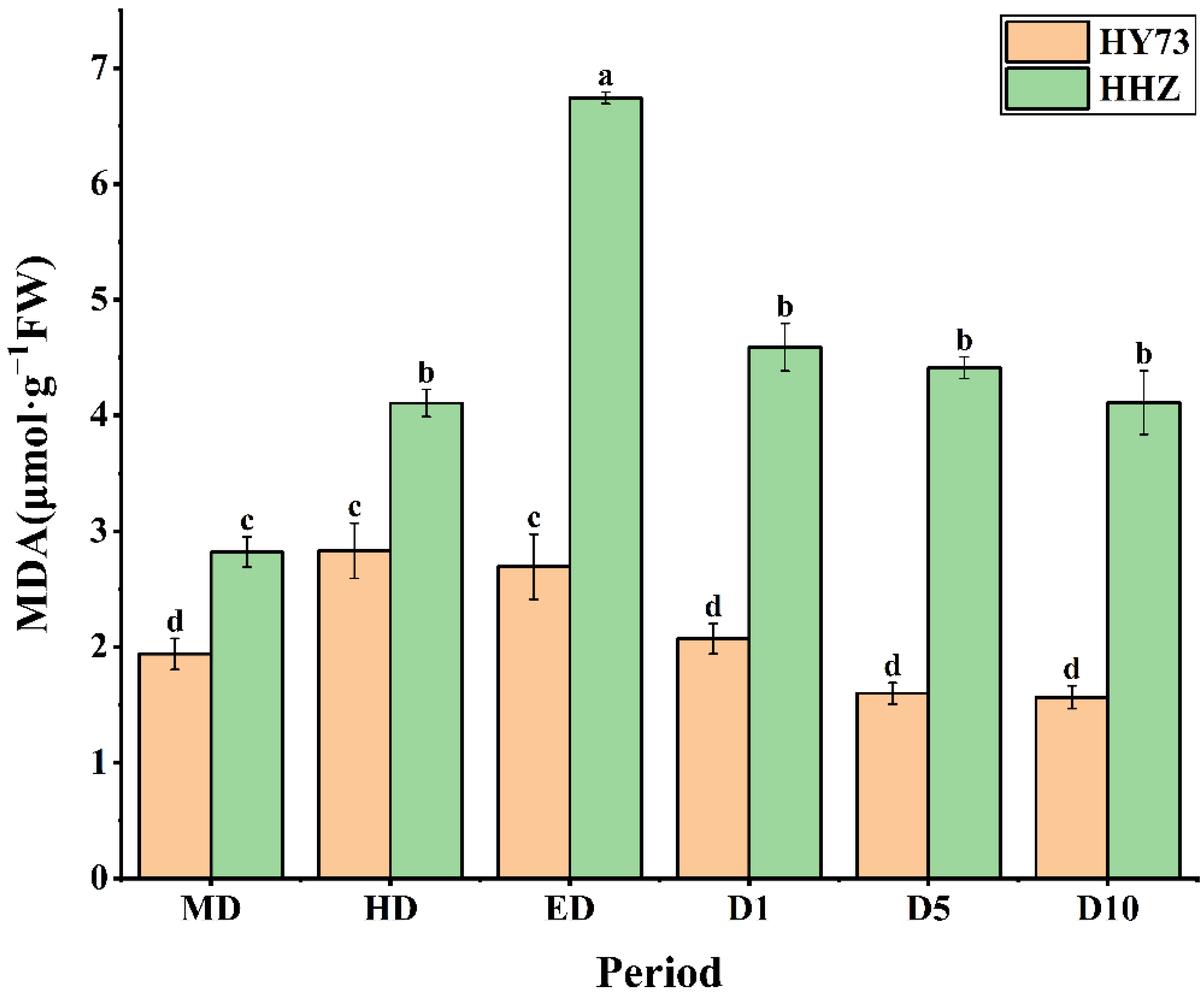 Ijms 23 14043 g004 Ijms 23 14043 g004