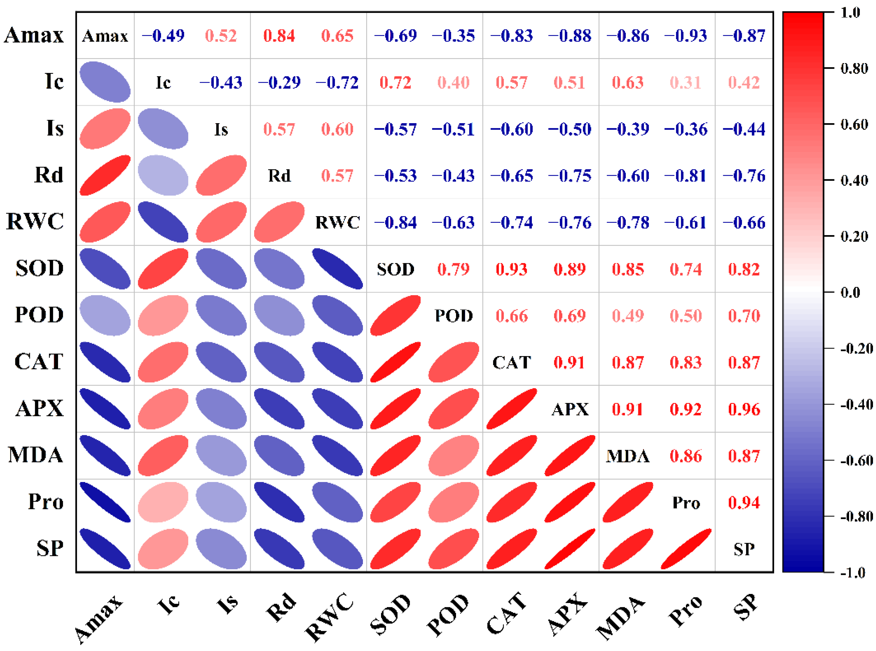 Ijms 23 14043 g007 Ijms 23 14043 g007