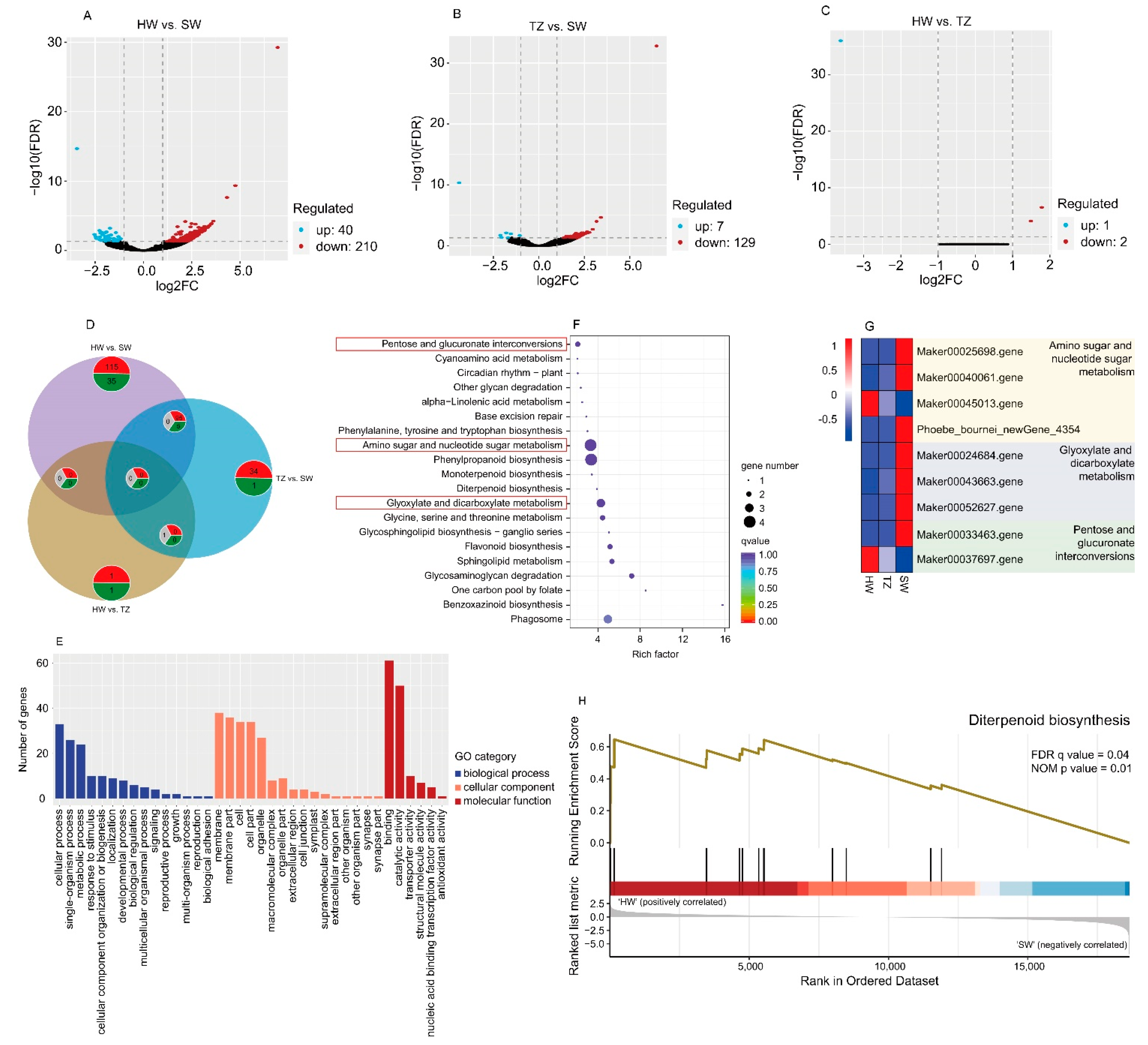 Ijms 23 14044 g004 Ijms 23 14044 g004