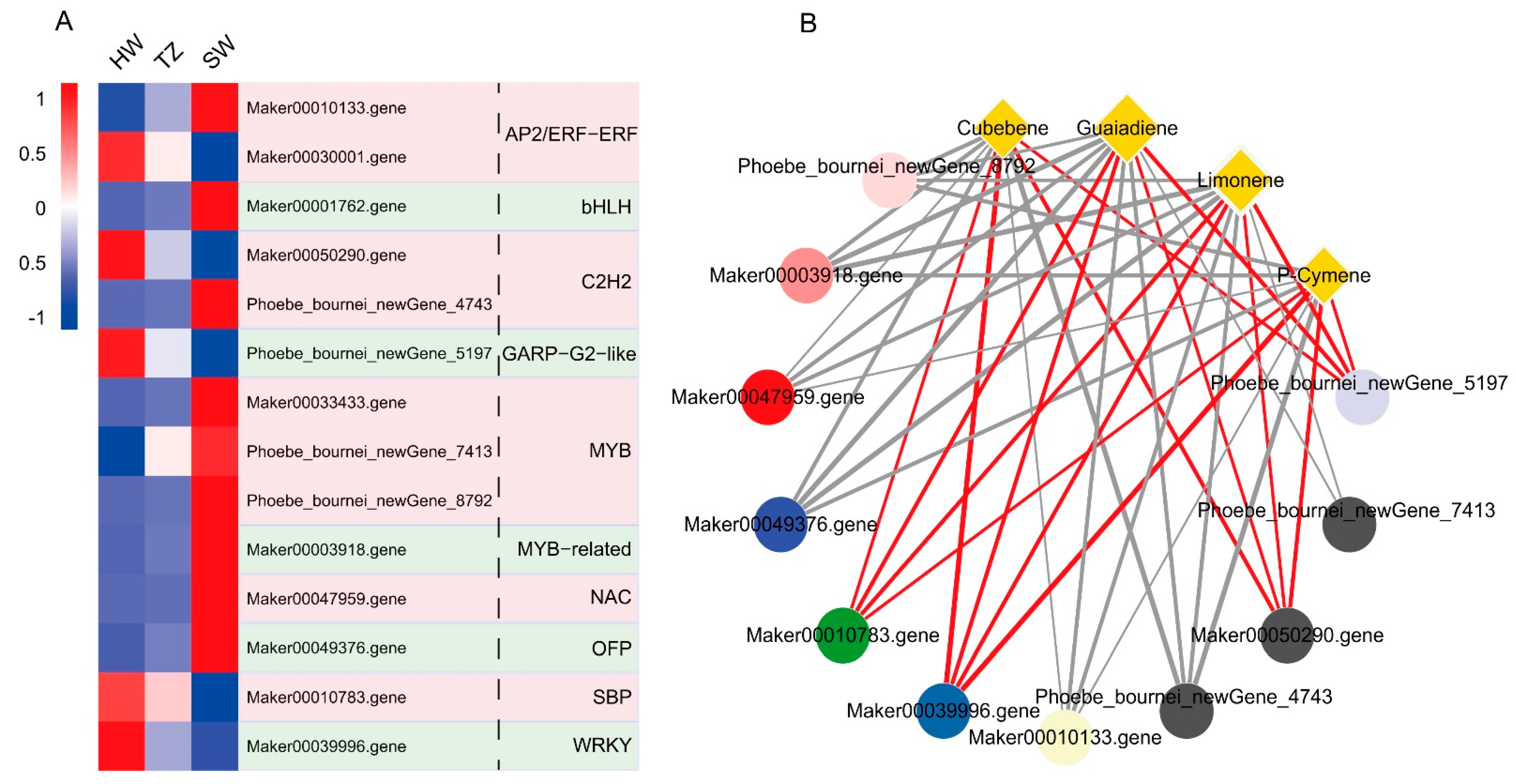Ijms 23 14044 g006 Ijms 23 14044 g006
