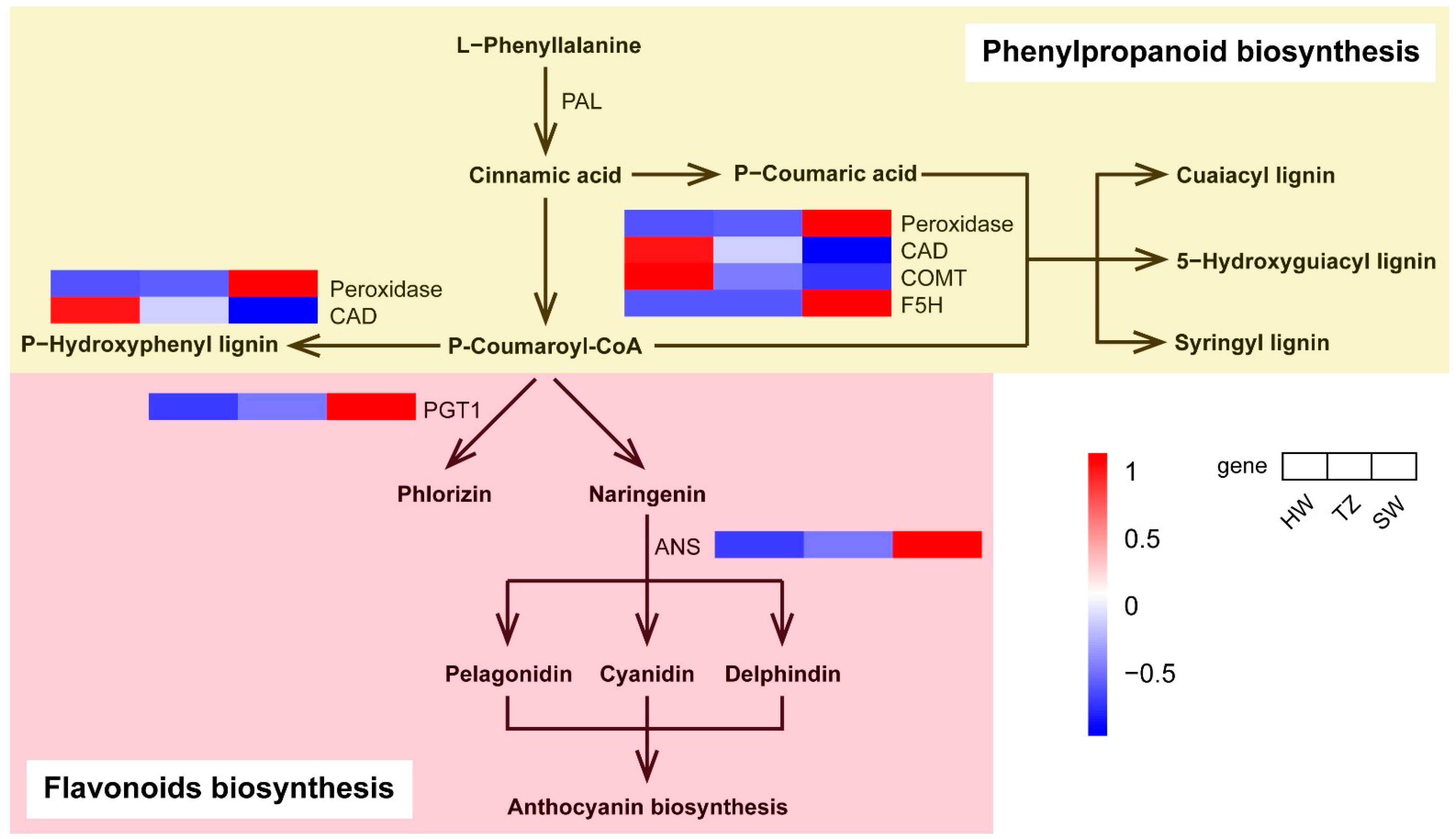 Ijms 23 14044 g007 Ijms 23 14044 g007