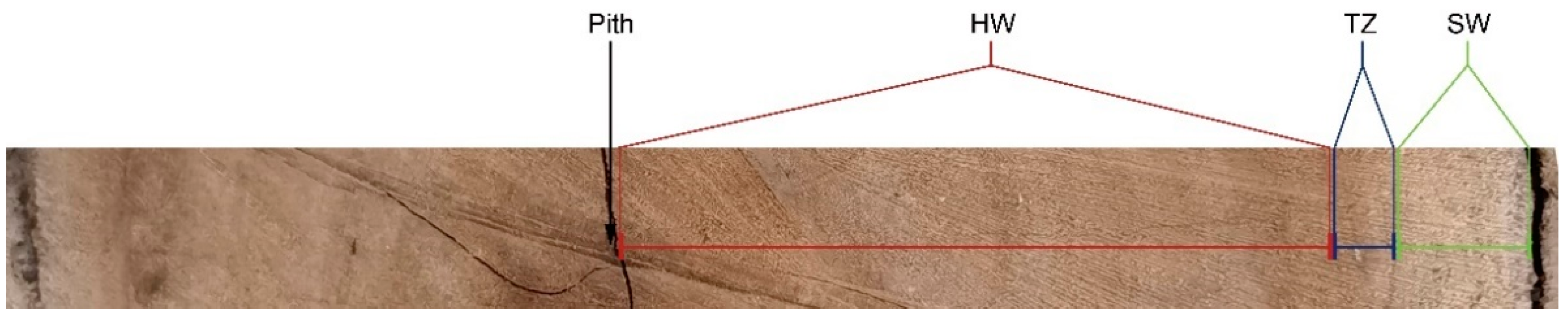 Ijms 23 14044 g008 Ijms 23 14044 g008