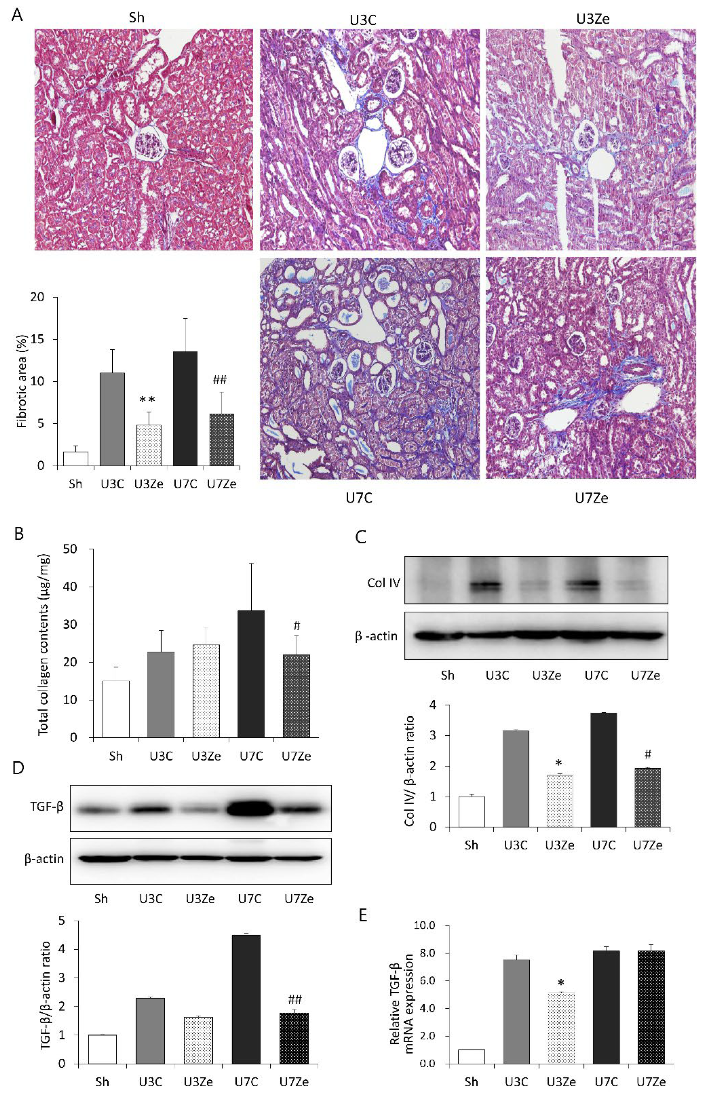 Ijms 23 14045 g002 Ijms 23 14045 g002