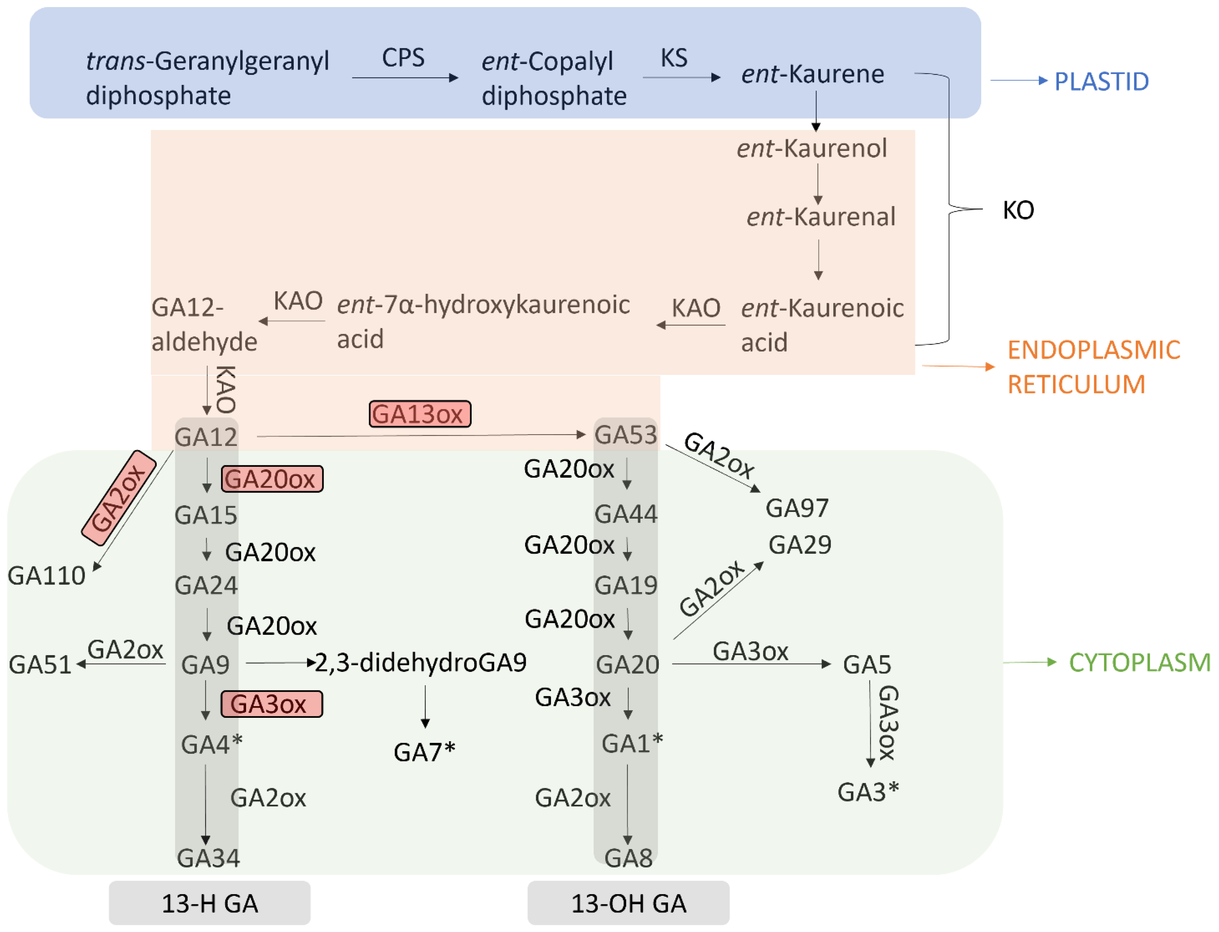 Ijms 23 14046 g001 Ijms 23 14046 g001