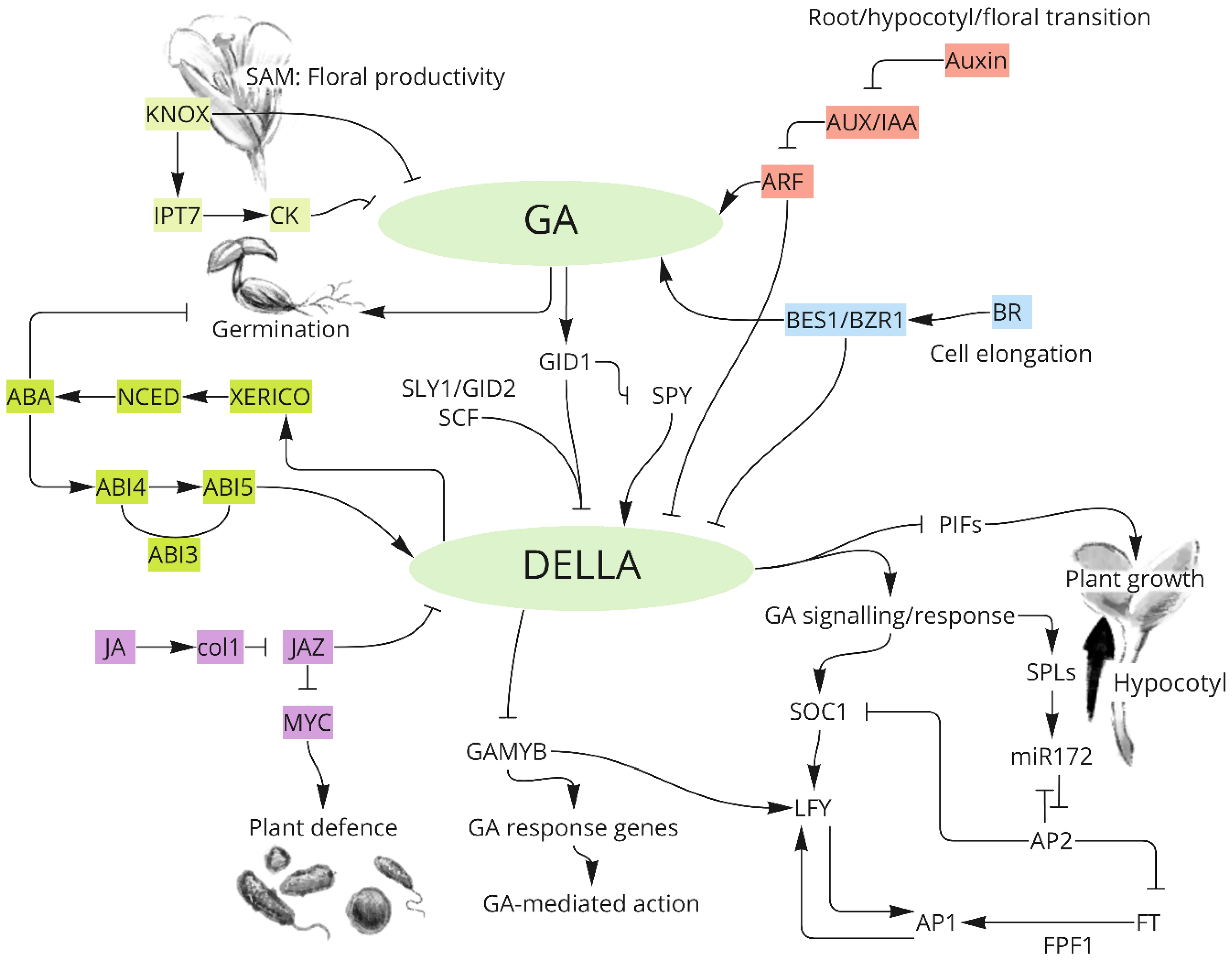 Ijms 23 14046 g002 Ijms 23 14046 g002