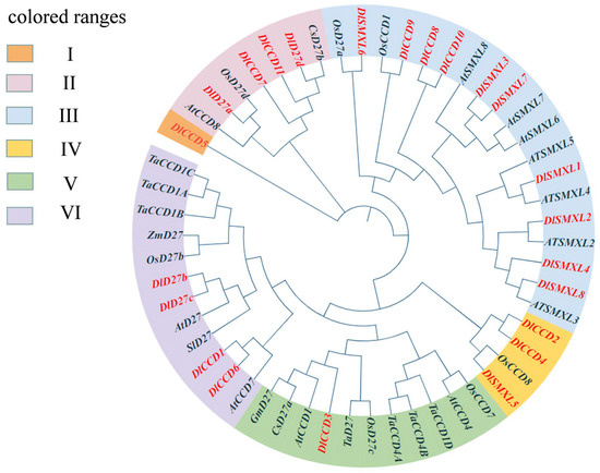 Whole Genome Analysis of SLs Pathway Genes and Functional