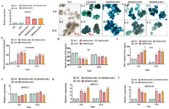 Frontiers | Quantitative phosphoproteomics analyses reveal